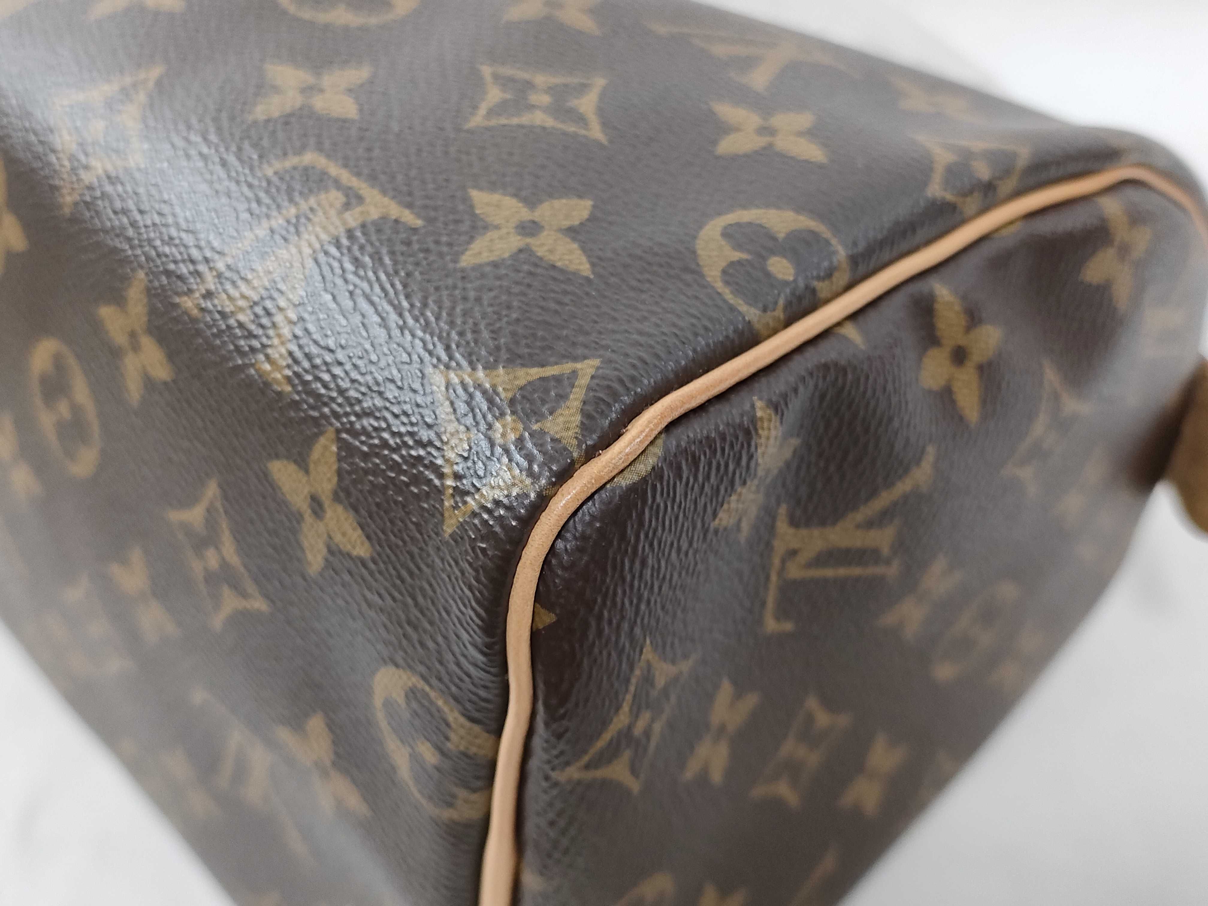Monogram Louis Vuitton Monogram Speedy 25 M41109 RFID Detected Handbag — view 9