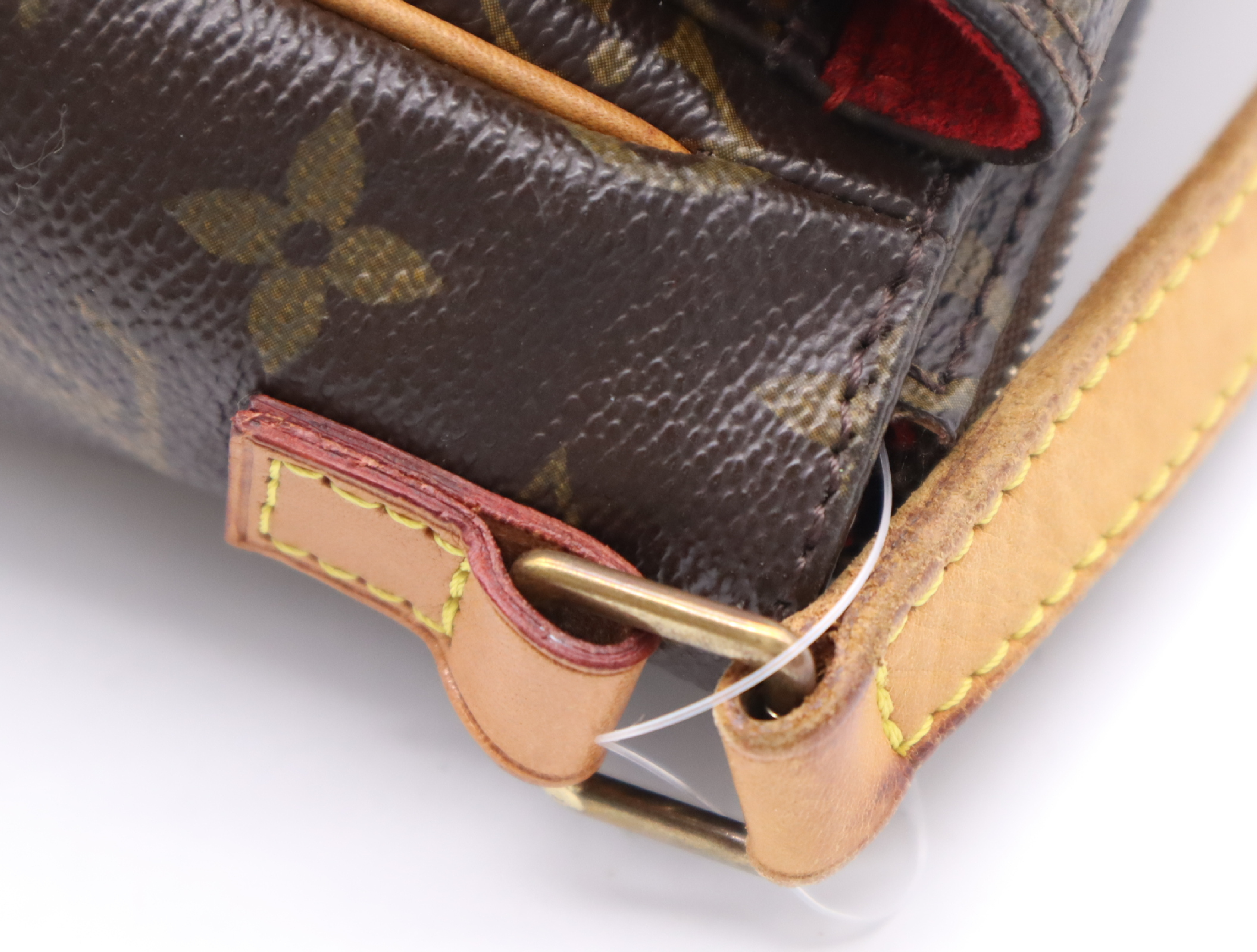 M51165 Monogram Viva Cite PM Shoulder Bag — view 8