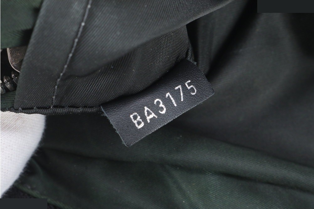 Fast Gaston V Line M50445 Leather 2WAY Body Bag — view 10