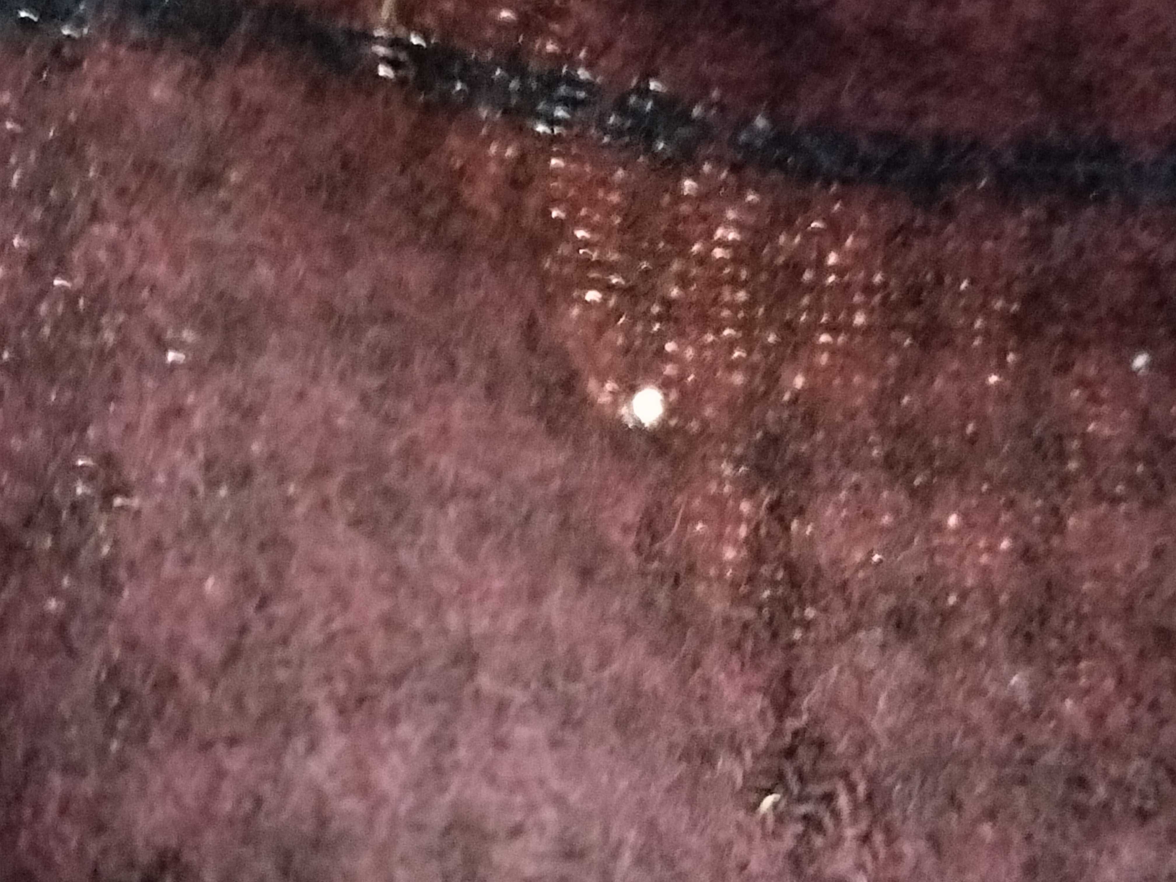 Nova Check lap blanket/shawl, Bordeaux, and other accessories. — view 10