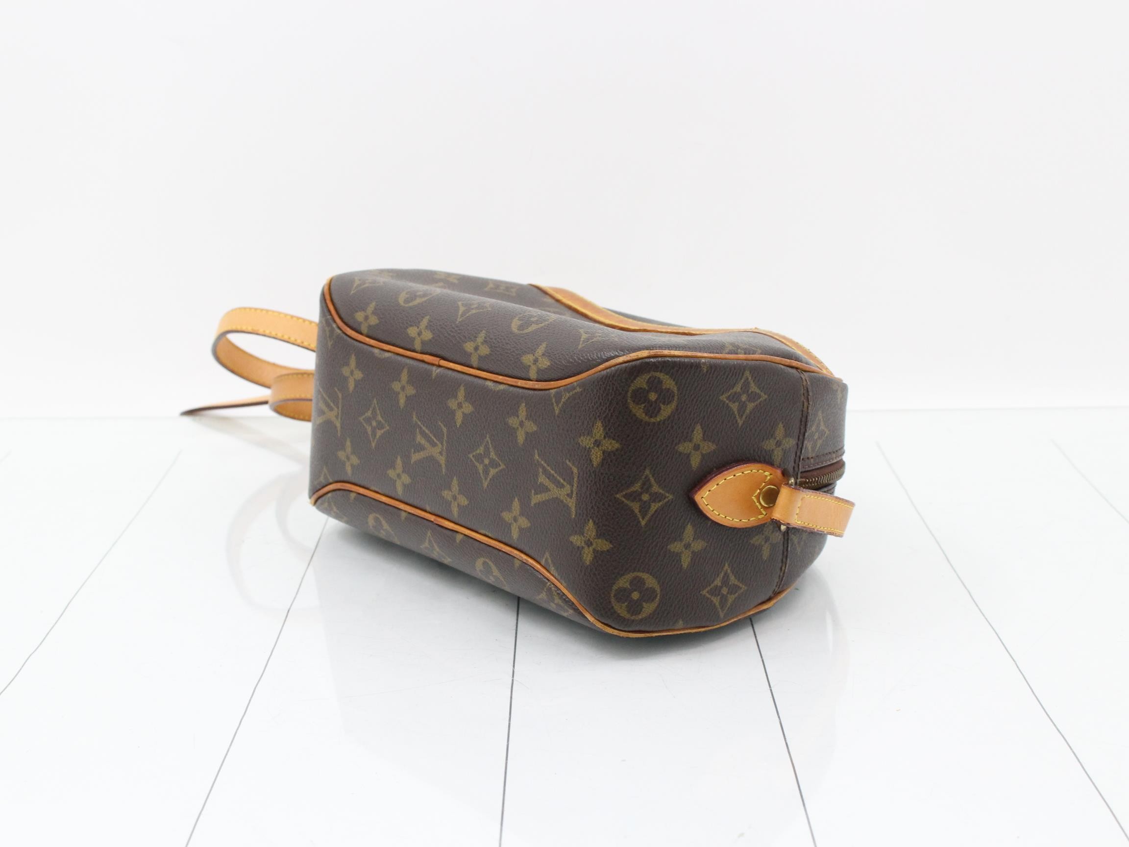 Shoulder bag Blois monogram leather — view 6