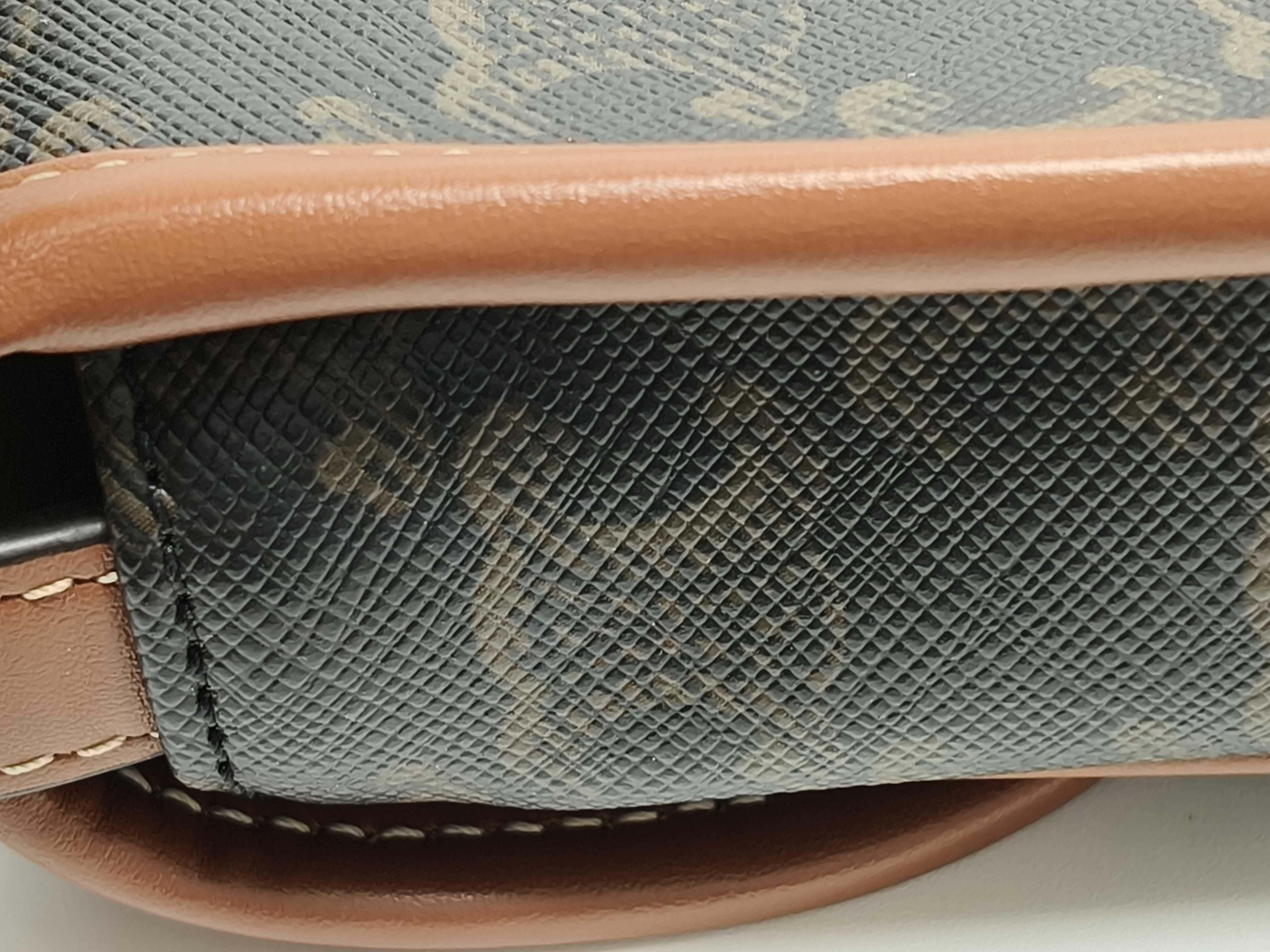 Triomphe PVC x Leather Mini Buzas Shoulder Bag — view 14