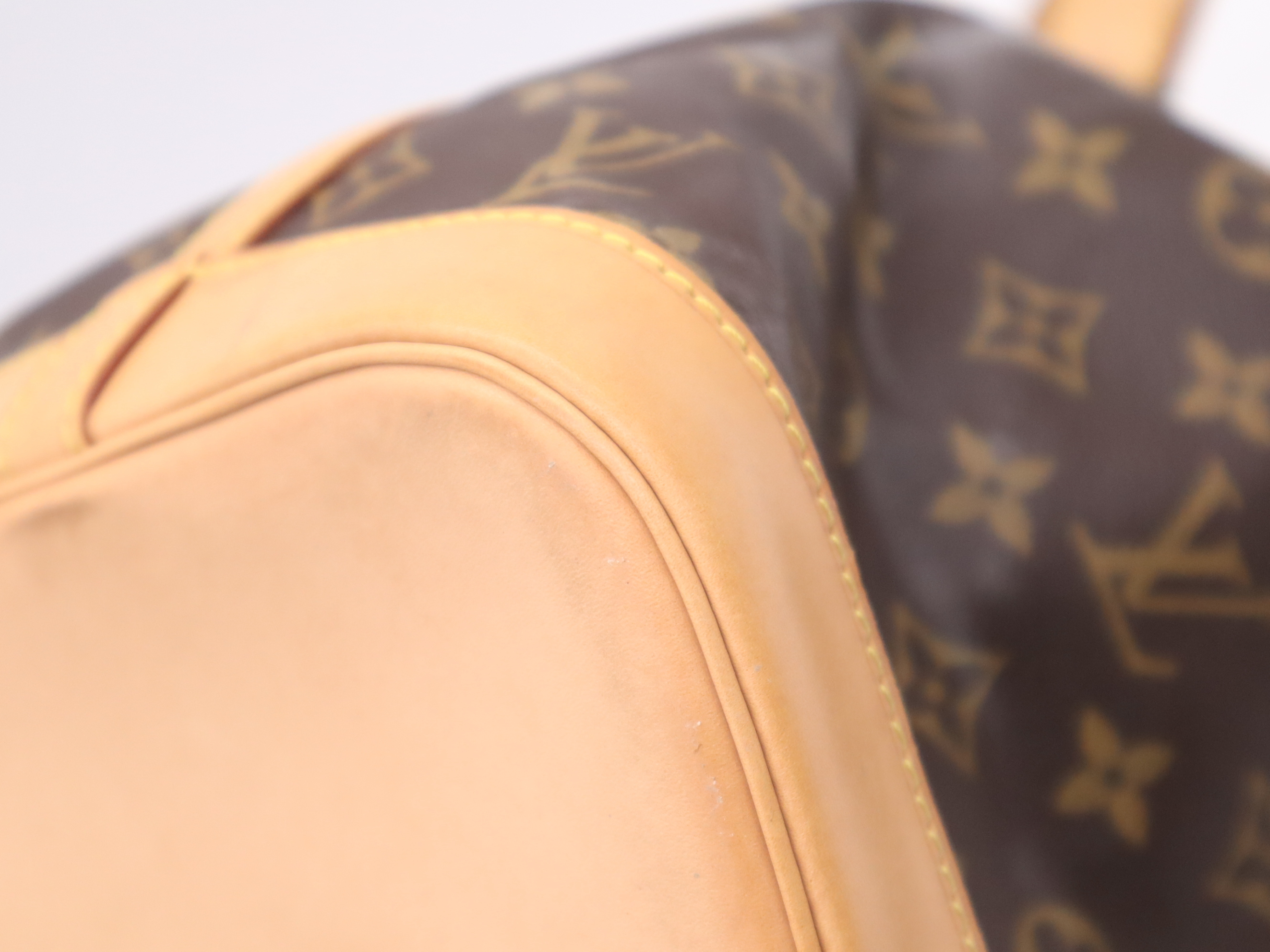 M42224 Monogram Noé Shoulder Bag — view 11