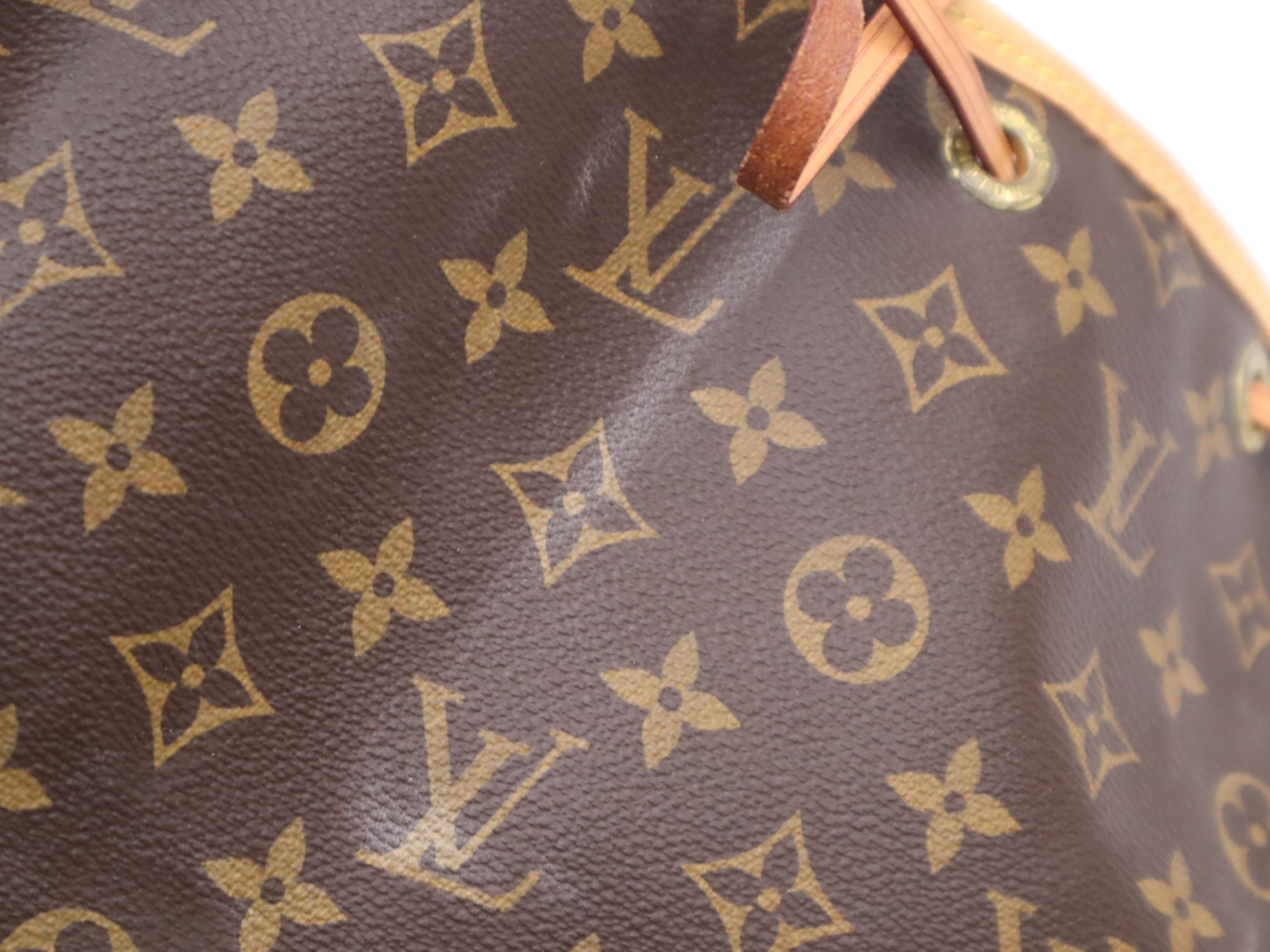 M42224 Monogram Noé Shoulder Bag — view 9