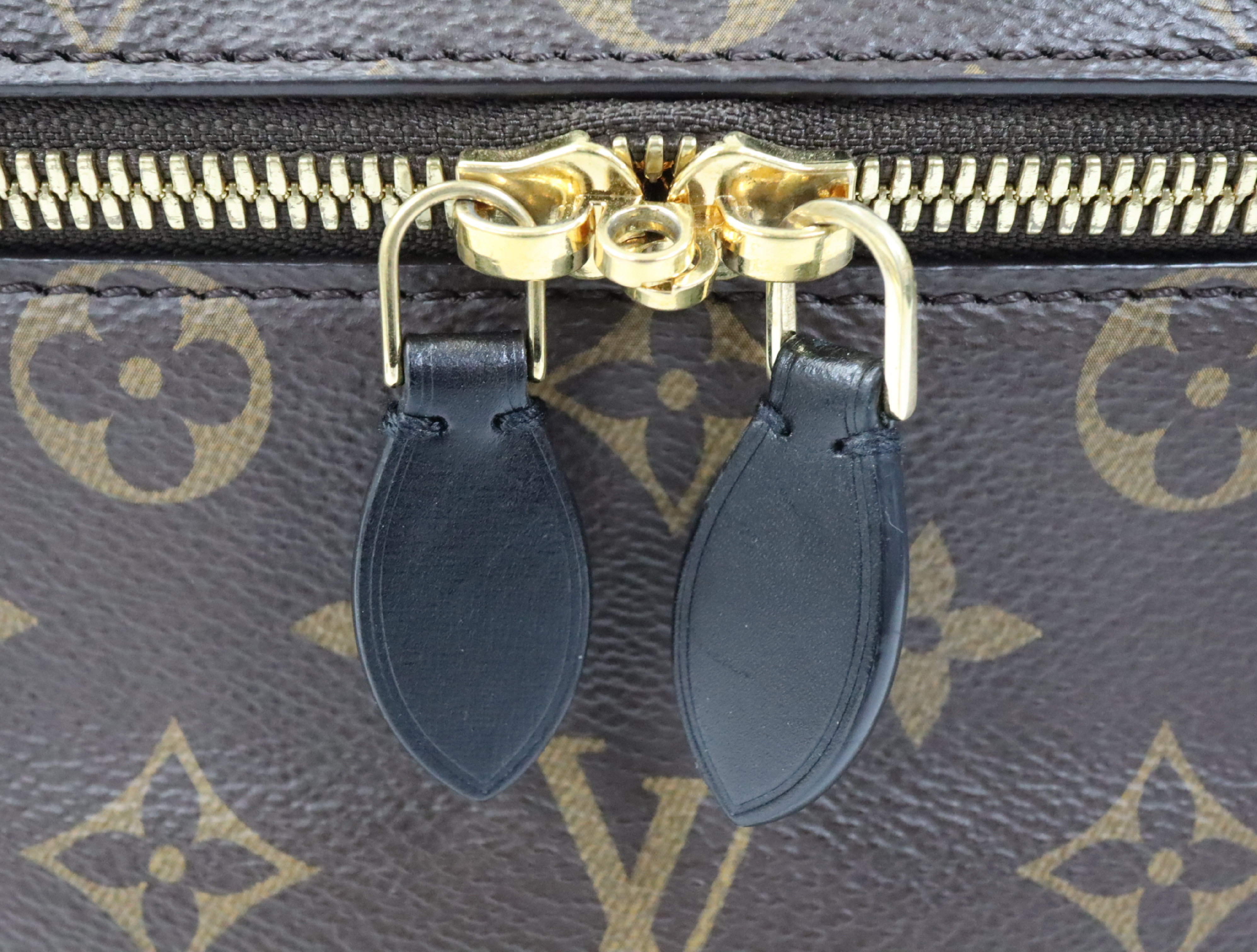Monogram Reverse Vanity NV RFID Reactive M45165 Vanity Bag — view 11