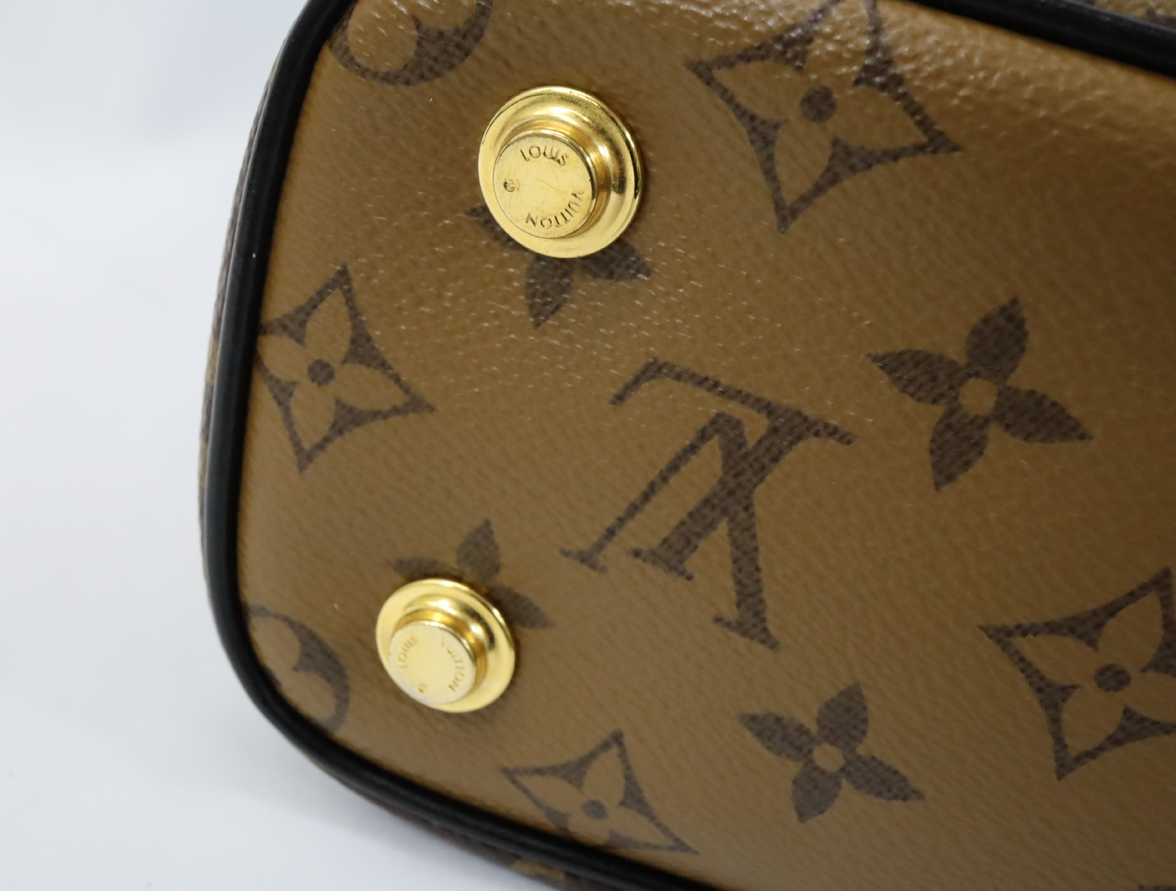 Monogram Reverse Vanity NV RFID Reactive M45165 Vanity Bag — view 12