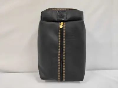 shoe case bag