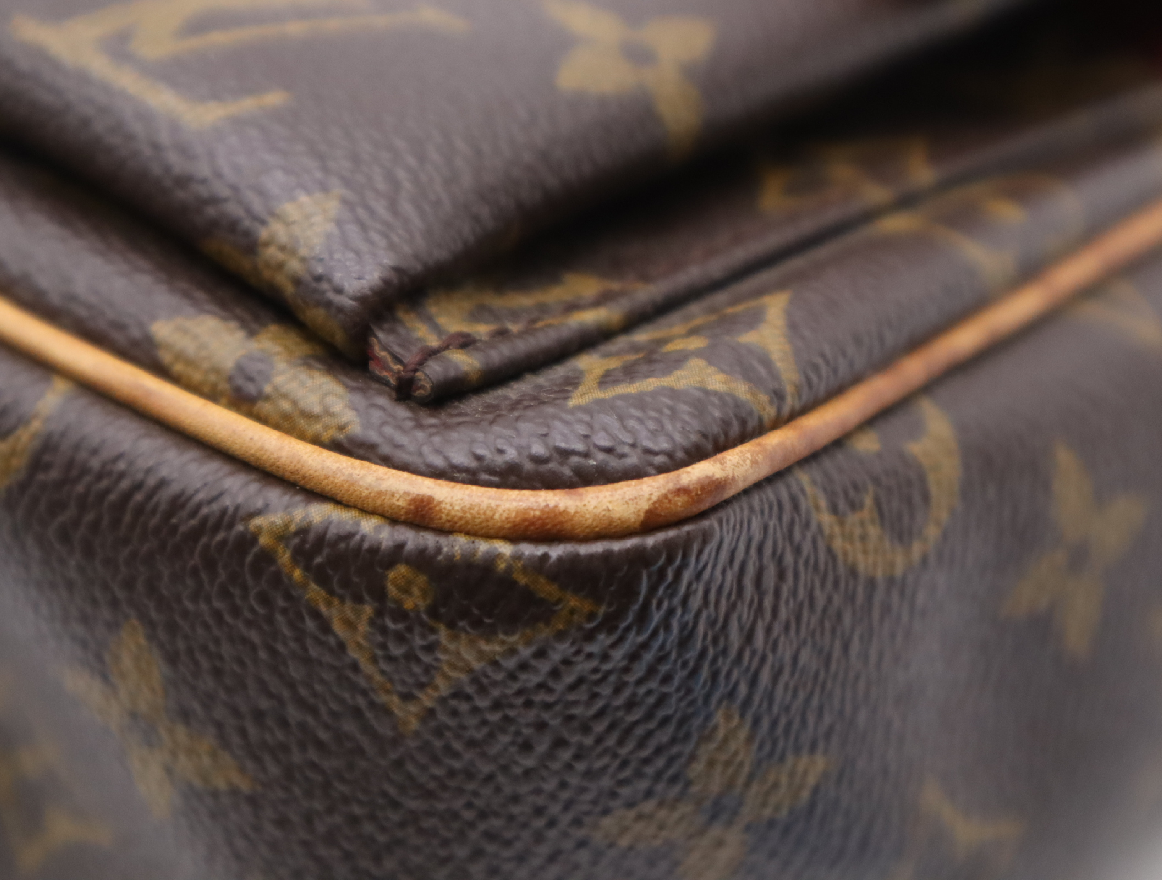 M51165 Monogram Viva Cite PM Shoulder Bag — view 7