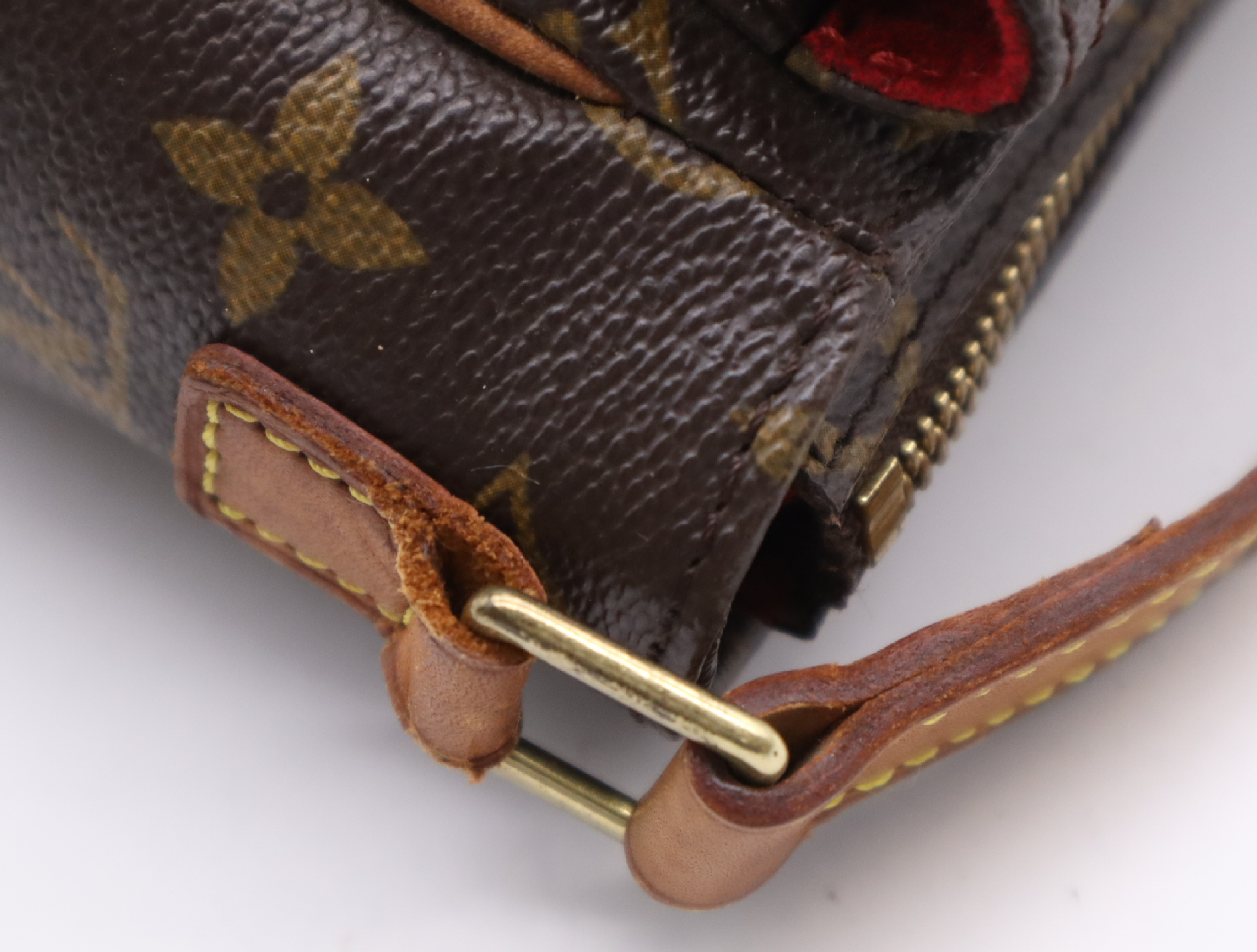 M51165 Monogram Viva Cite PM Shoulder Bag — view 8
