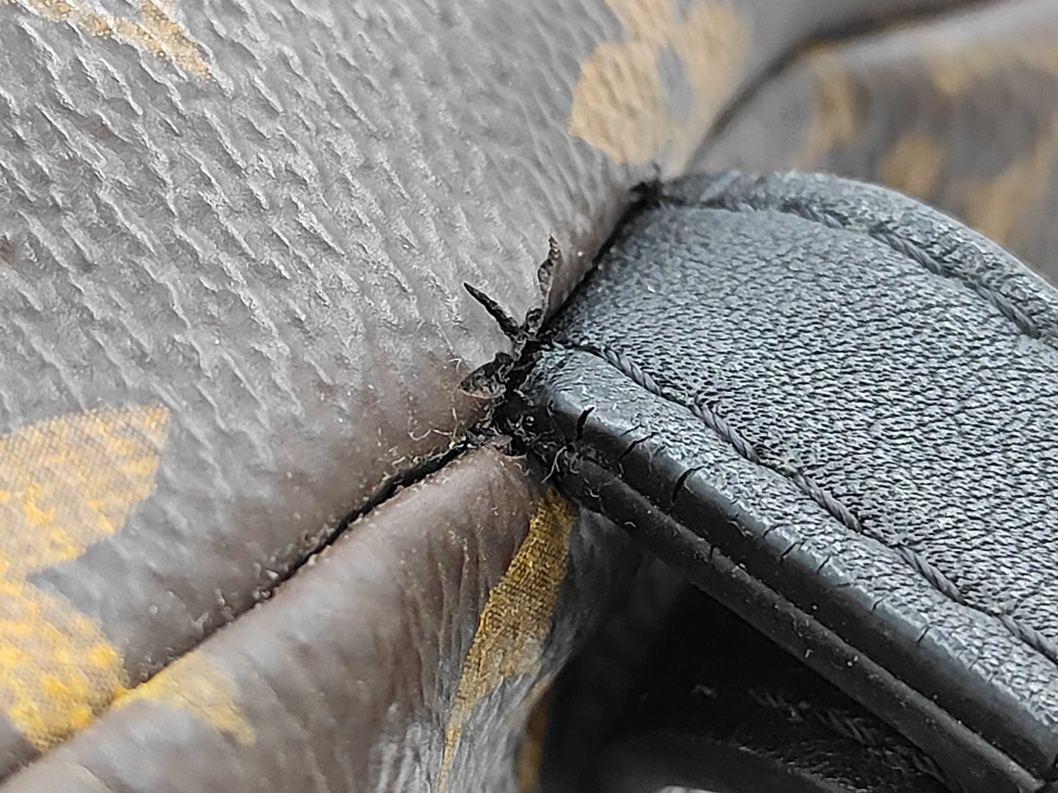 LV/Discovery PM/M46684/ Backpack — view 10