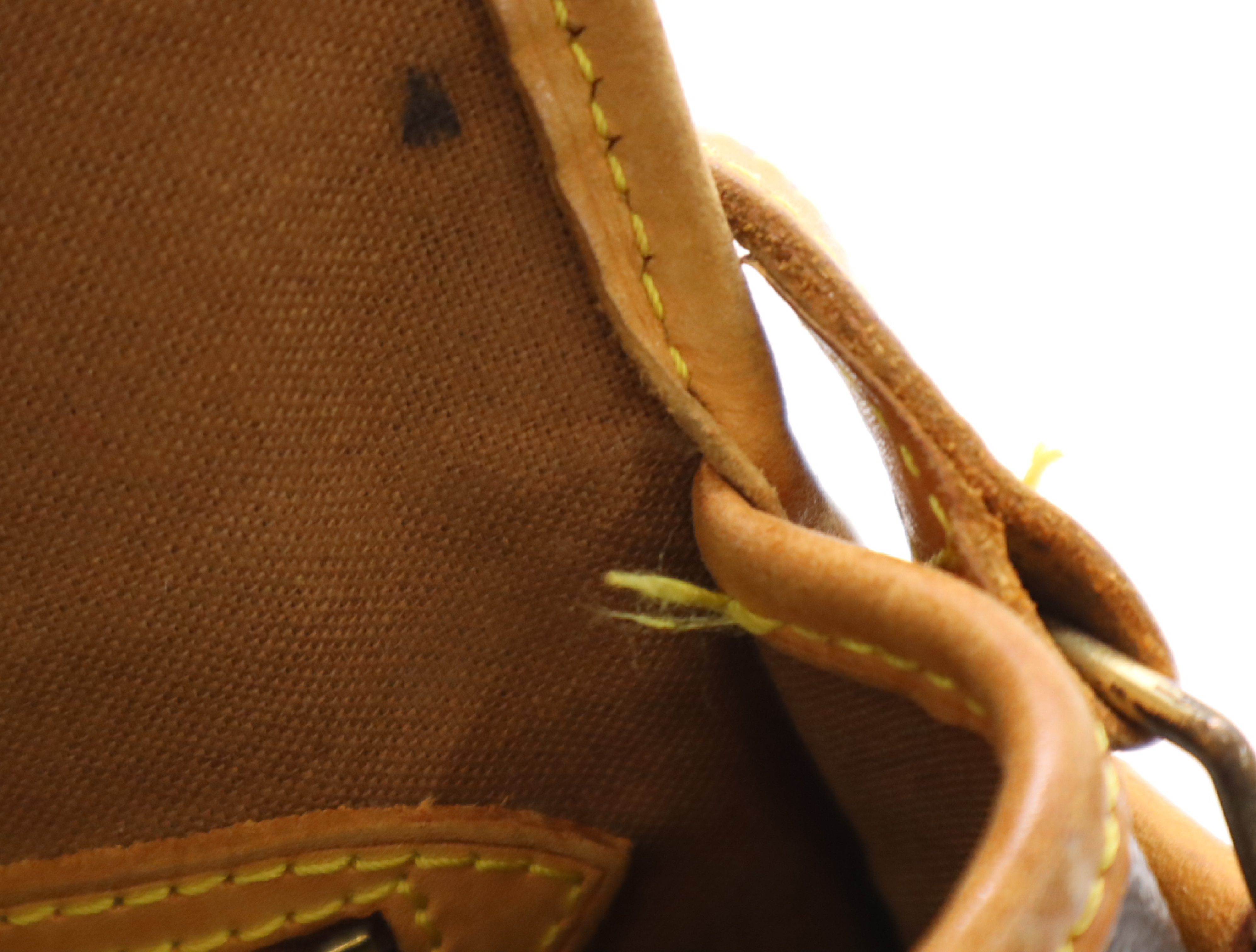 M42250 Monogram Sologne Shoulder Bag — view 15