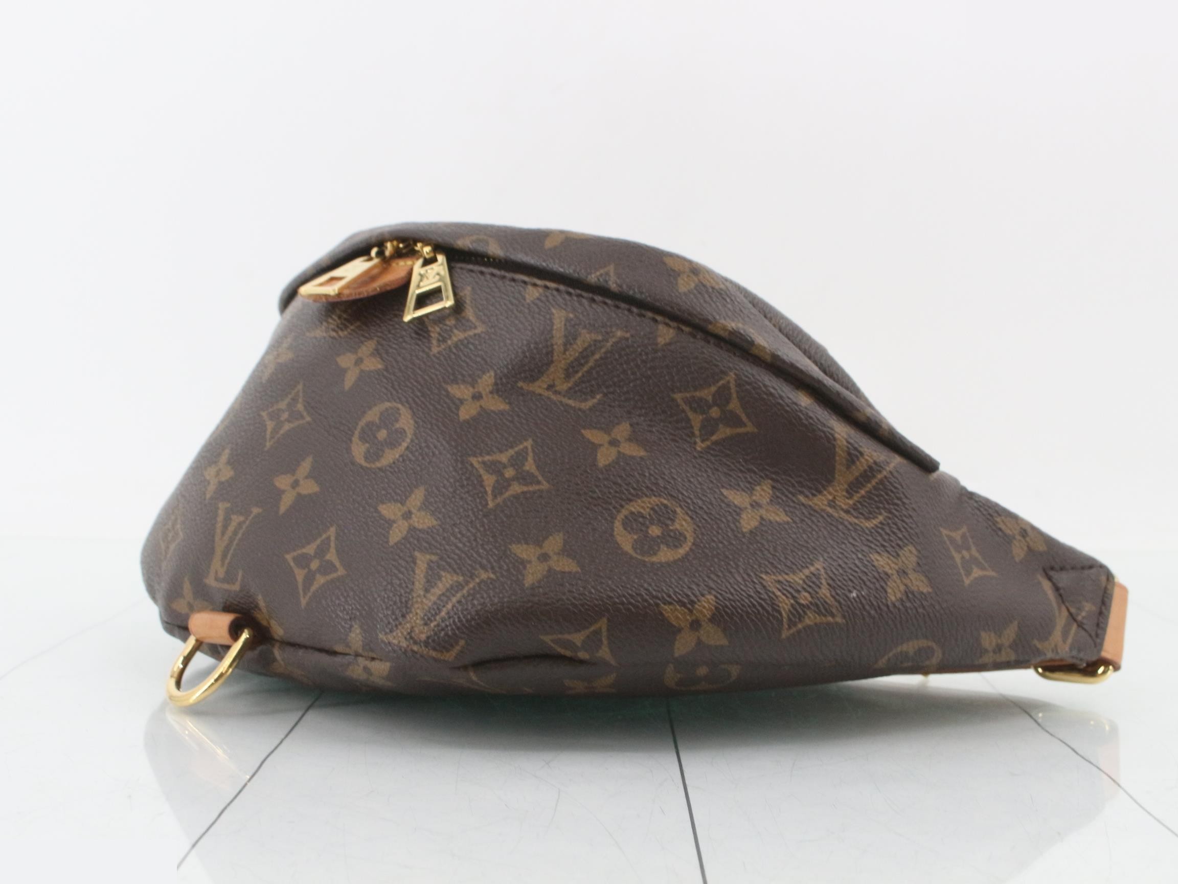Monogram Bum Bag Waist Bag — view 6