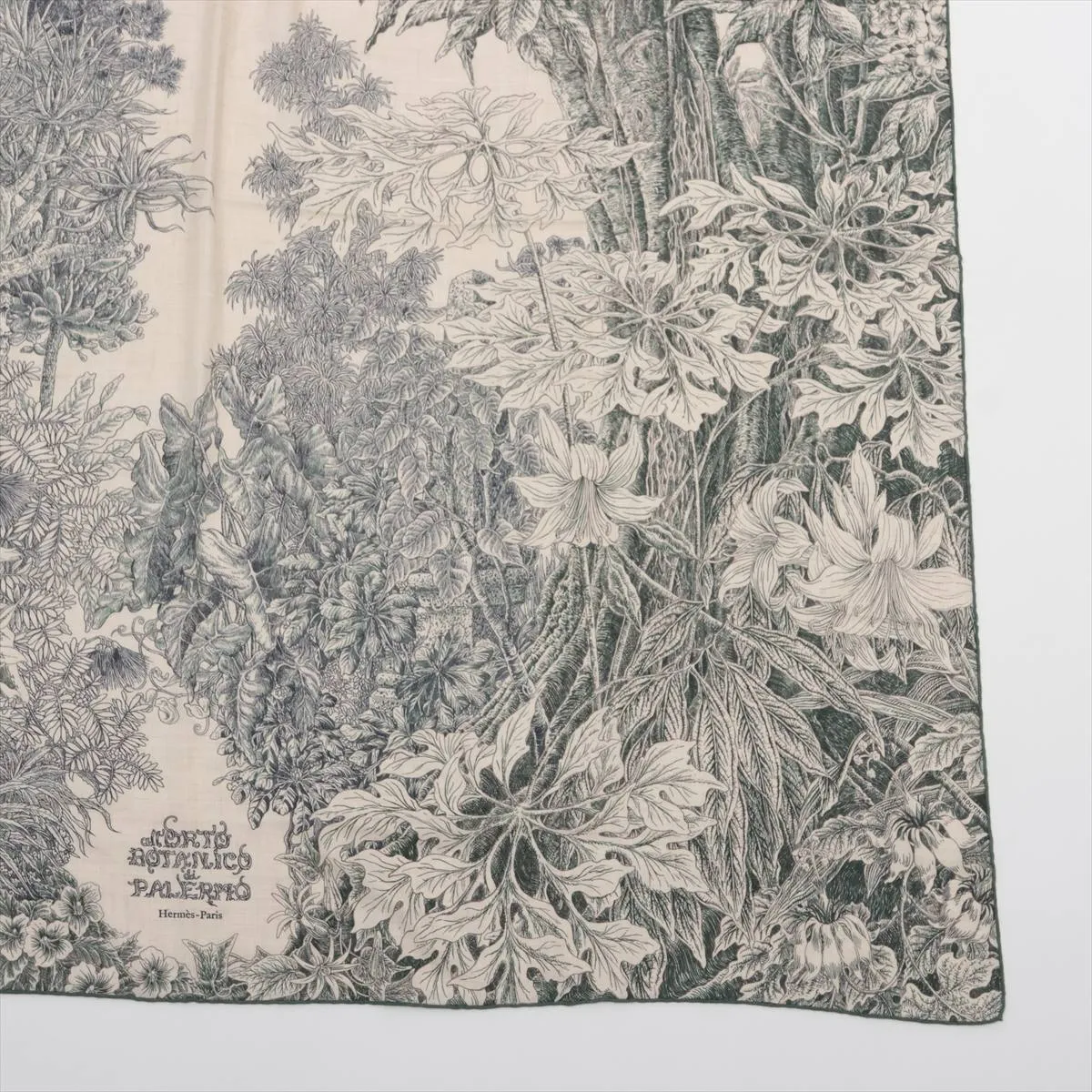 Carrégean BOTANICO DI PALERMO At the botanical garden in Palermo Stole Cashmere x Silk Green — view 4
