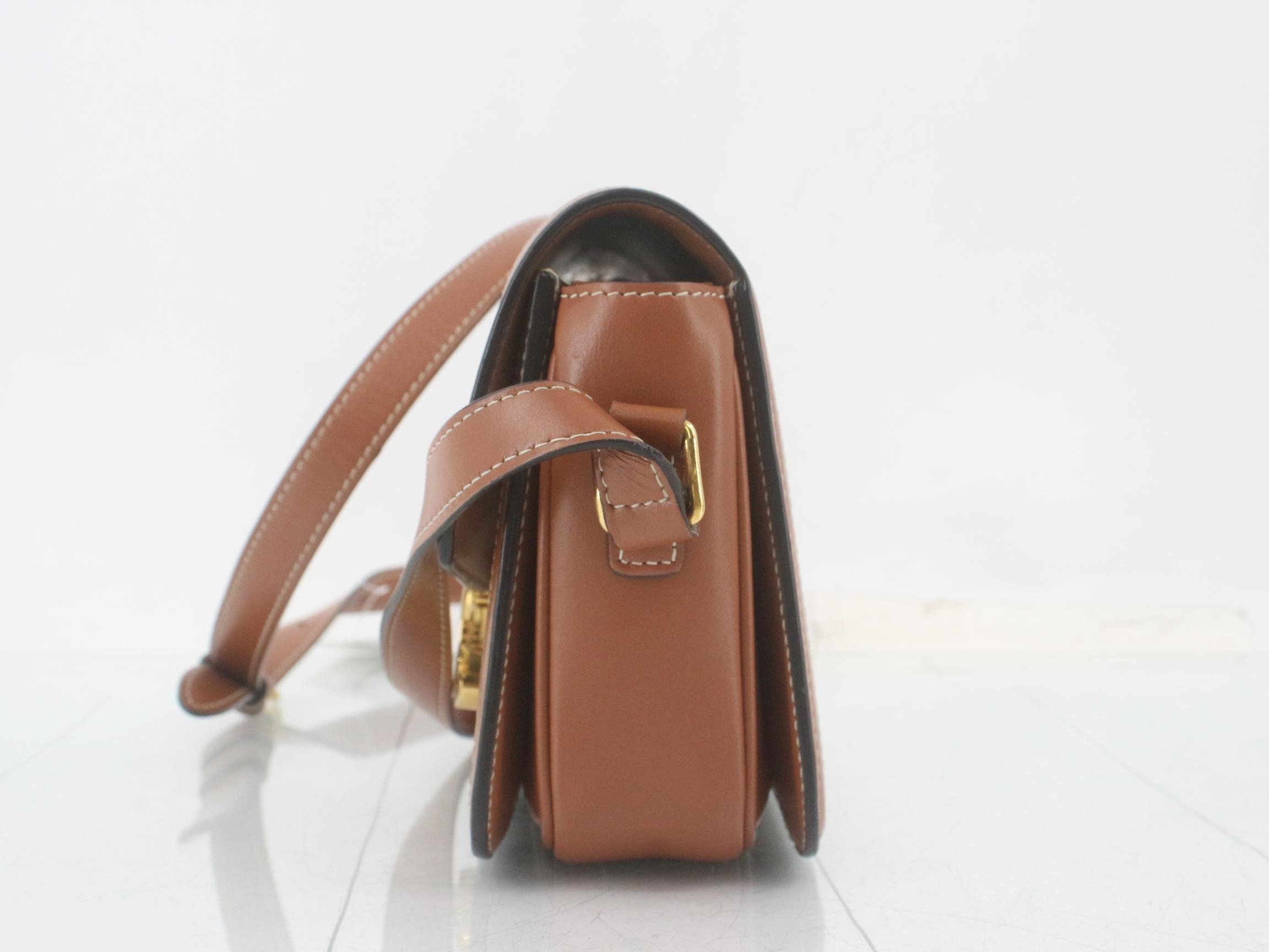 Teen Triomphe PVC/Leather Shoulder Bag, Multicolor — view 3