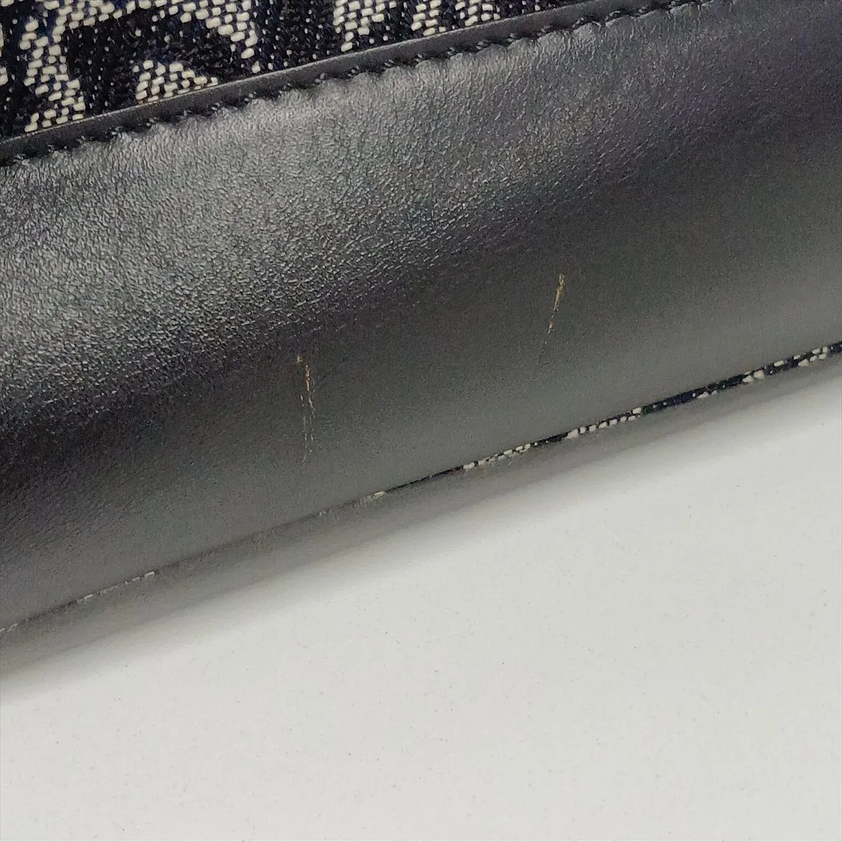 Trotter Canvas x Leather Tote Bag, Black — view 12