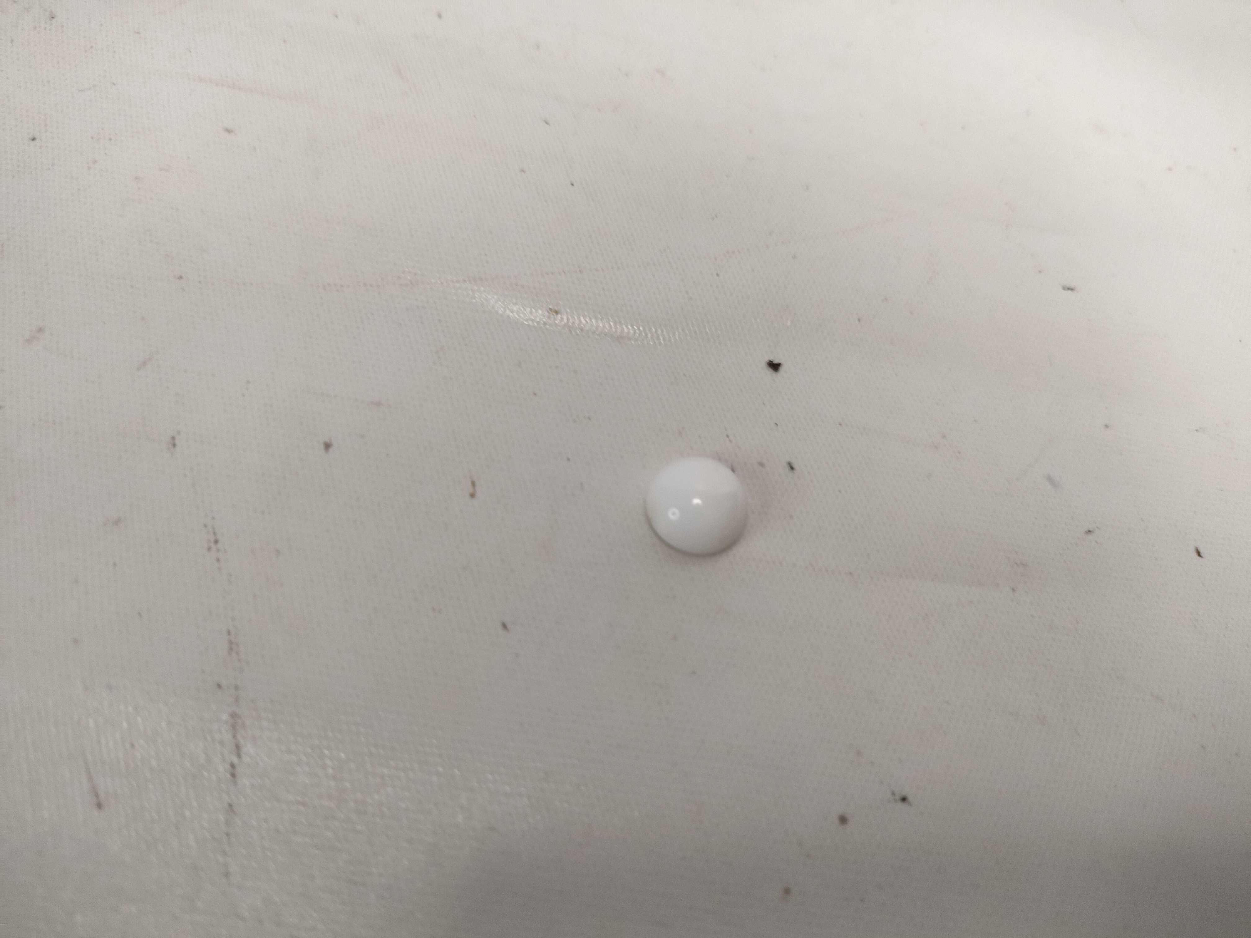 03P Camellia Pearl Necklace — view 7