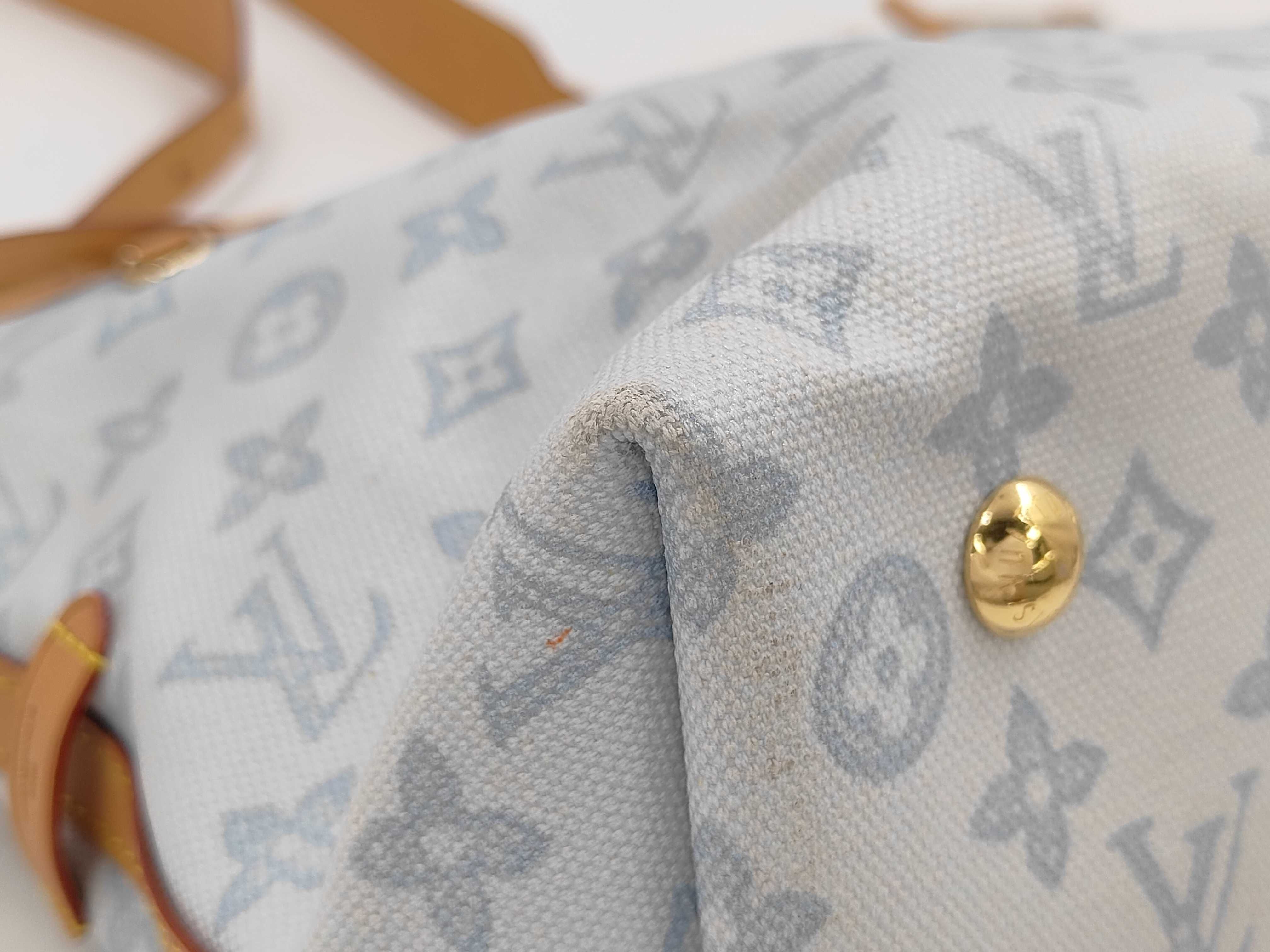 LV Louis Vuitton Light Blue Carryall Bag — view 5