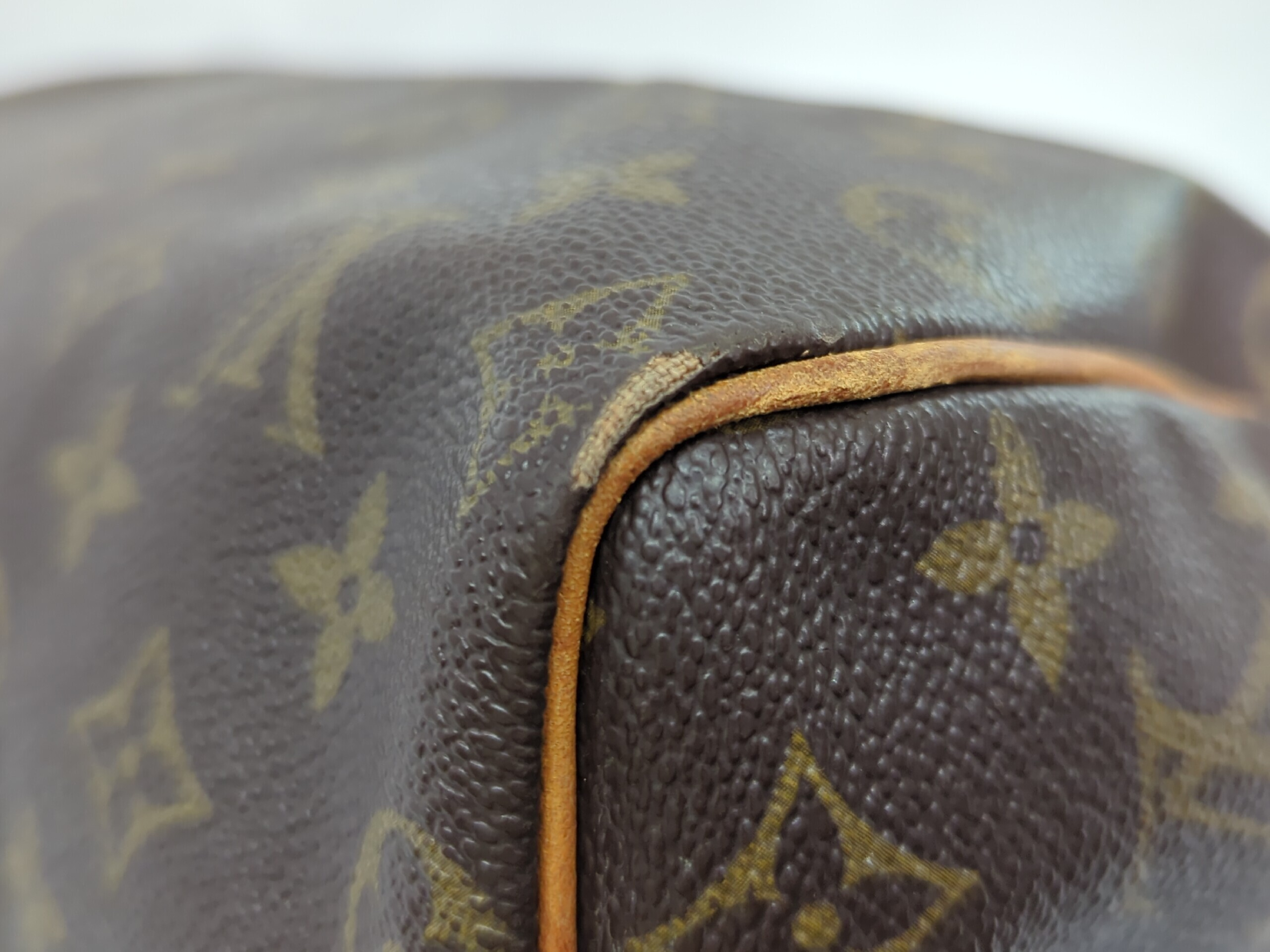 M41528 Monogram Speedy 25 Handbag — view 3