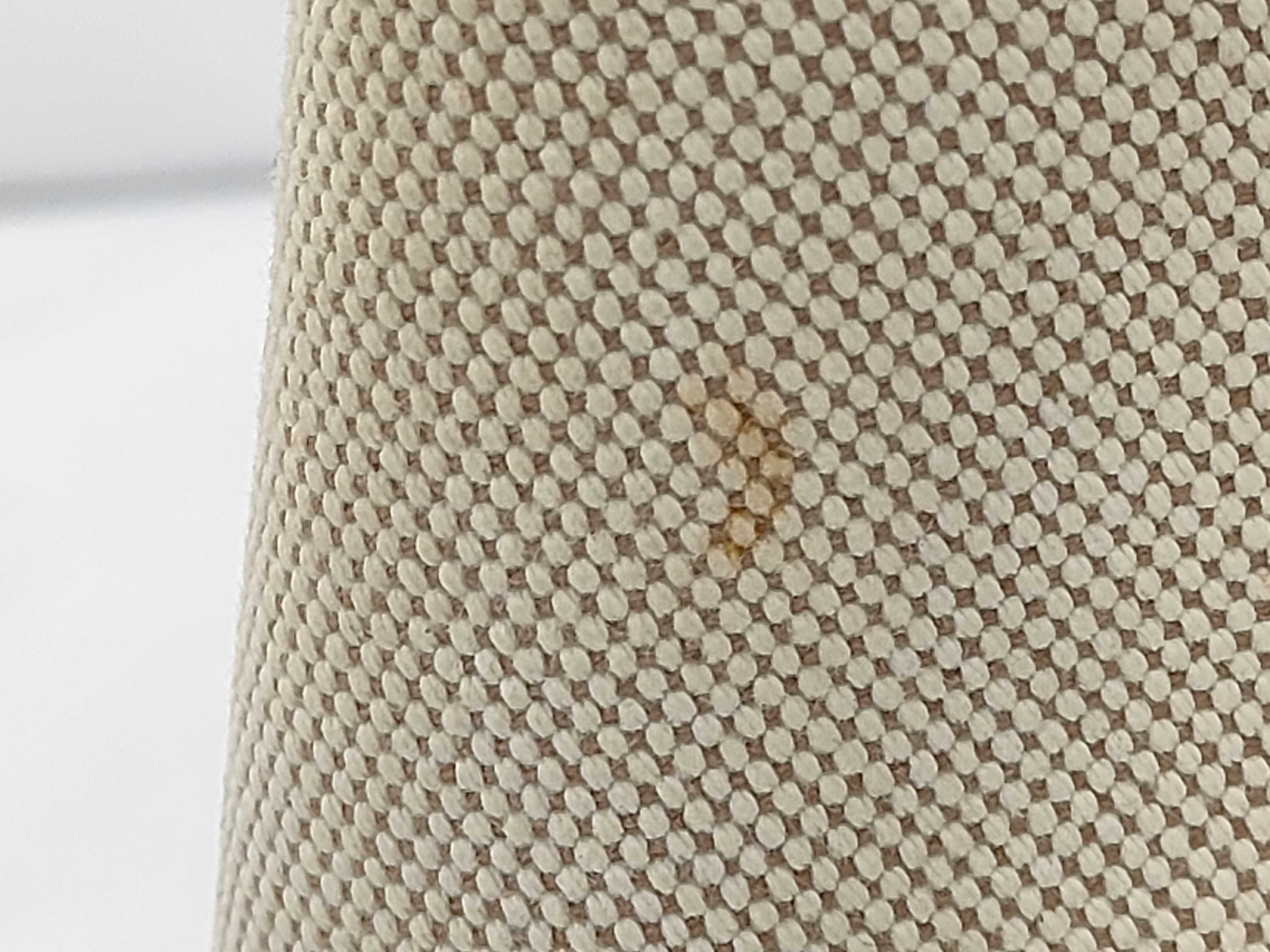 Garden Party PM Brown x White Canvas x Leather C Stamp Bag — view 11