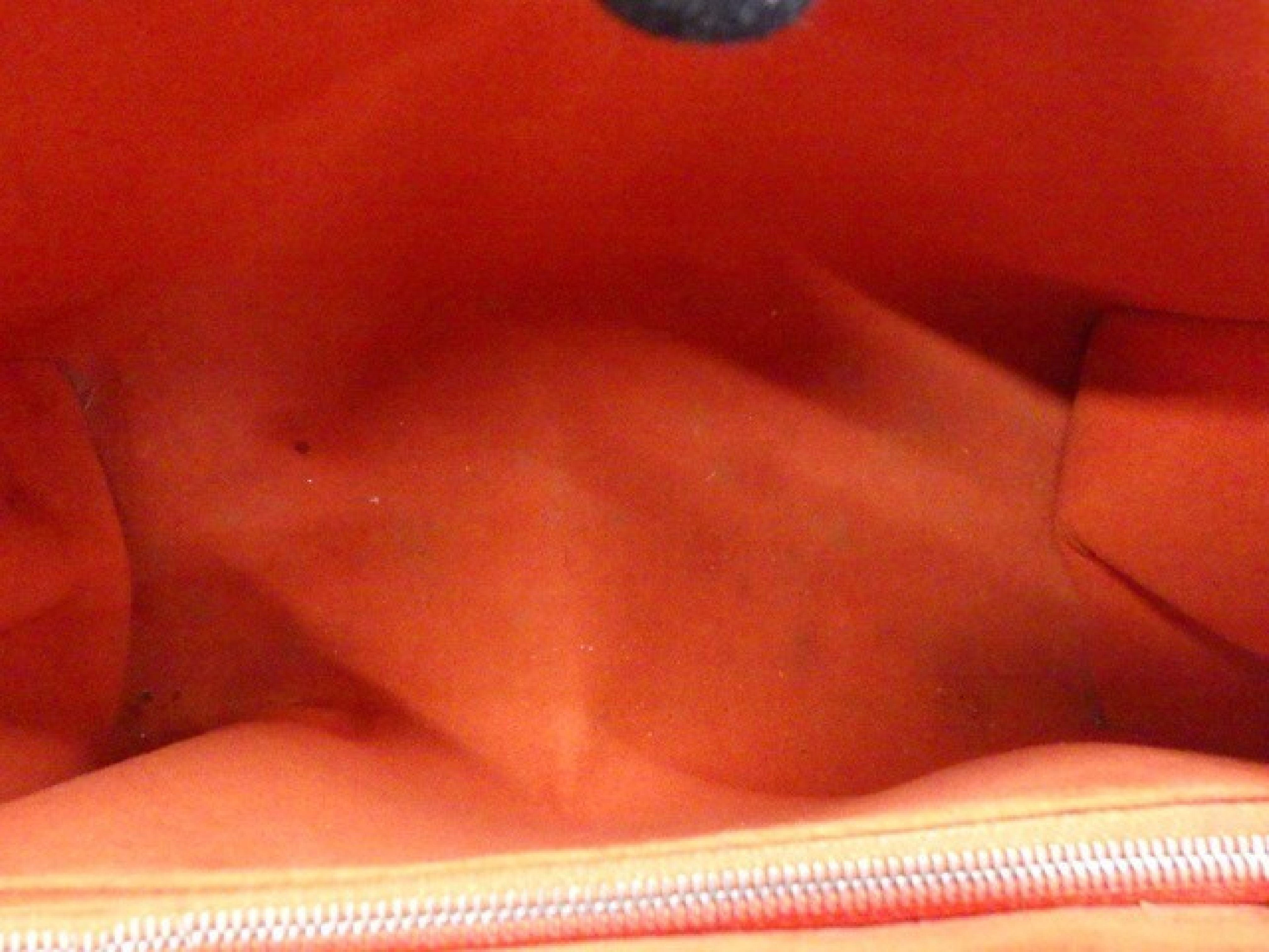 Pennel PM Epi CA1149 Handbag — view 7