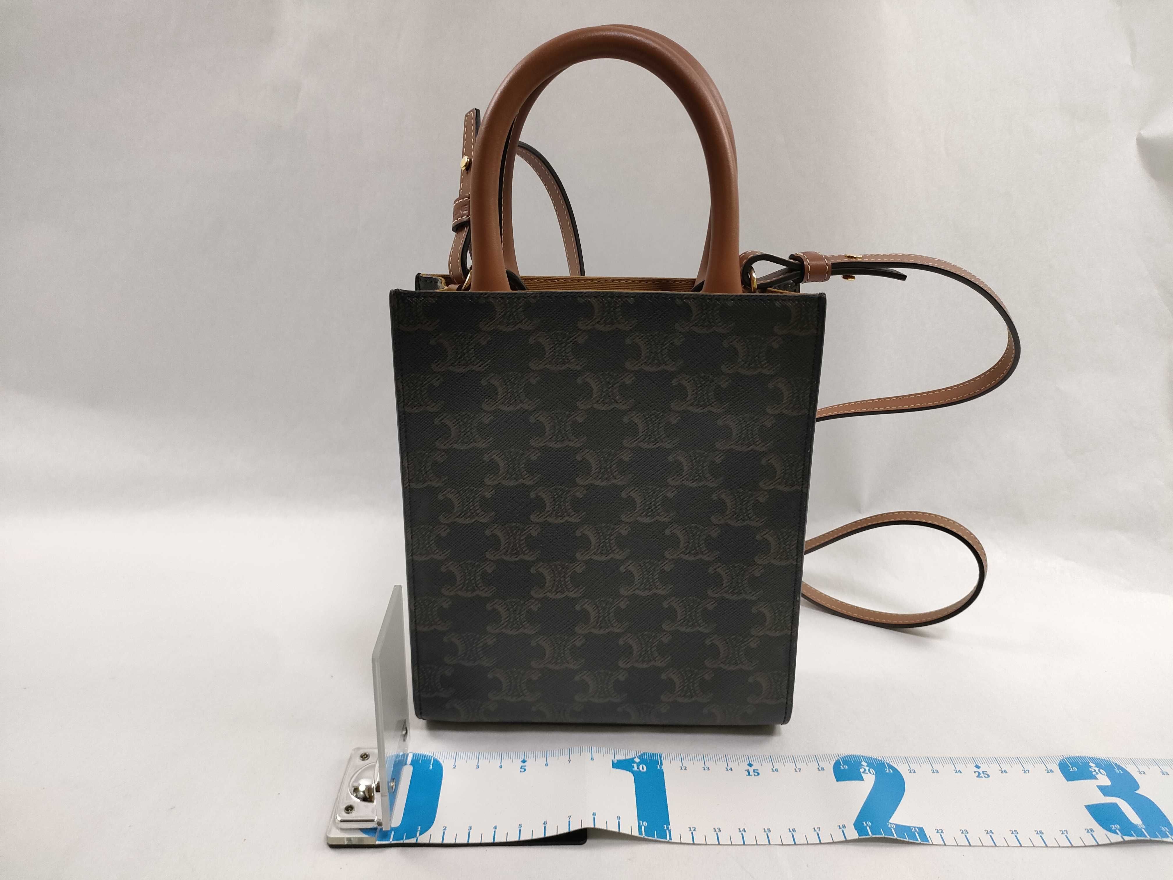 Triomphe Mini Vertical Cabas PVC x Leather 2-Way Handbag Brown Handbag — view 2