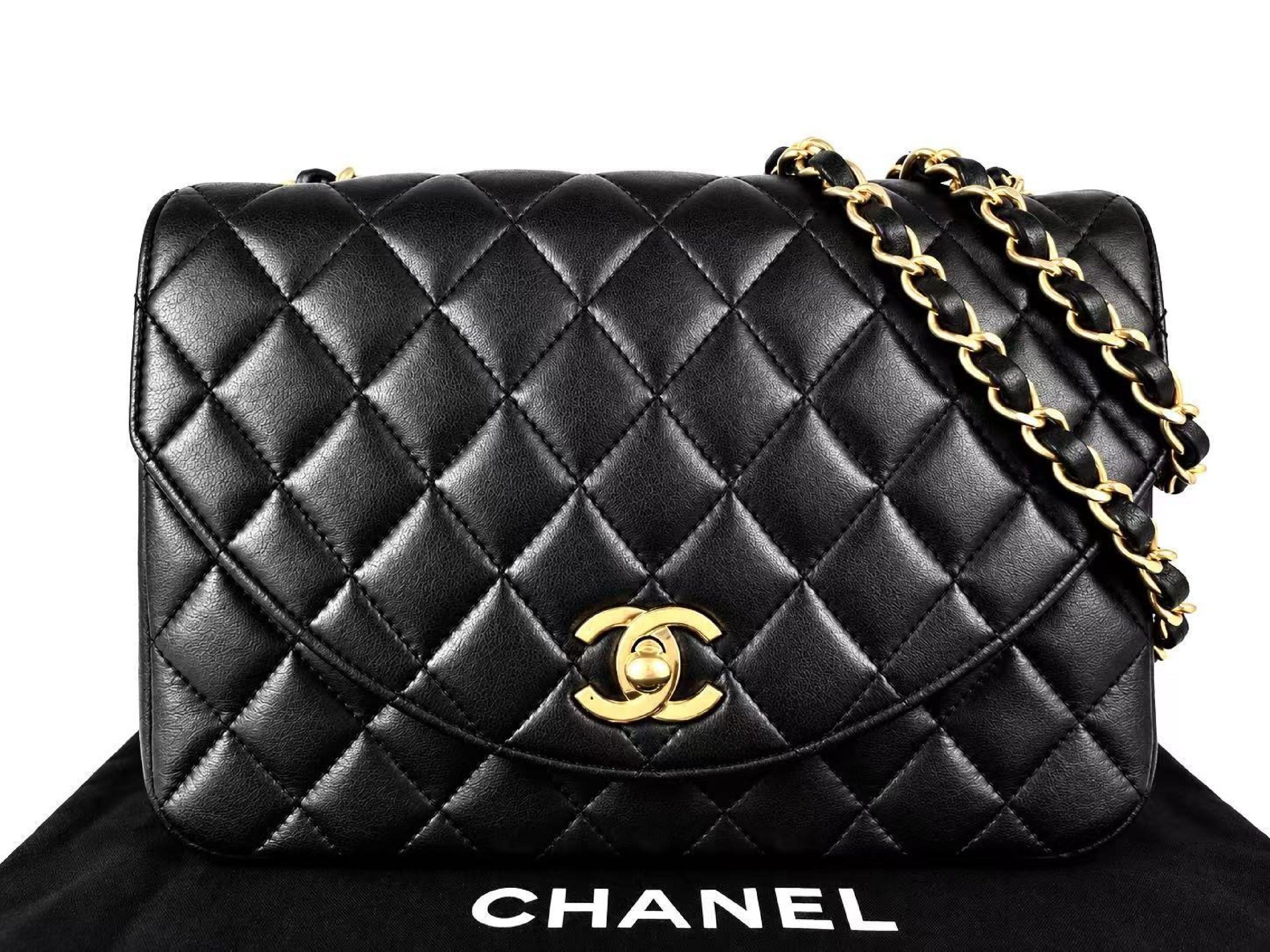 Chain Shoulder Bag