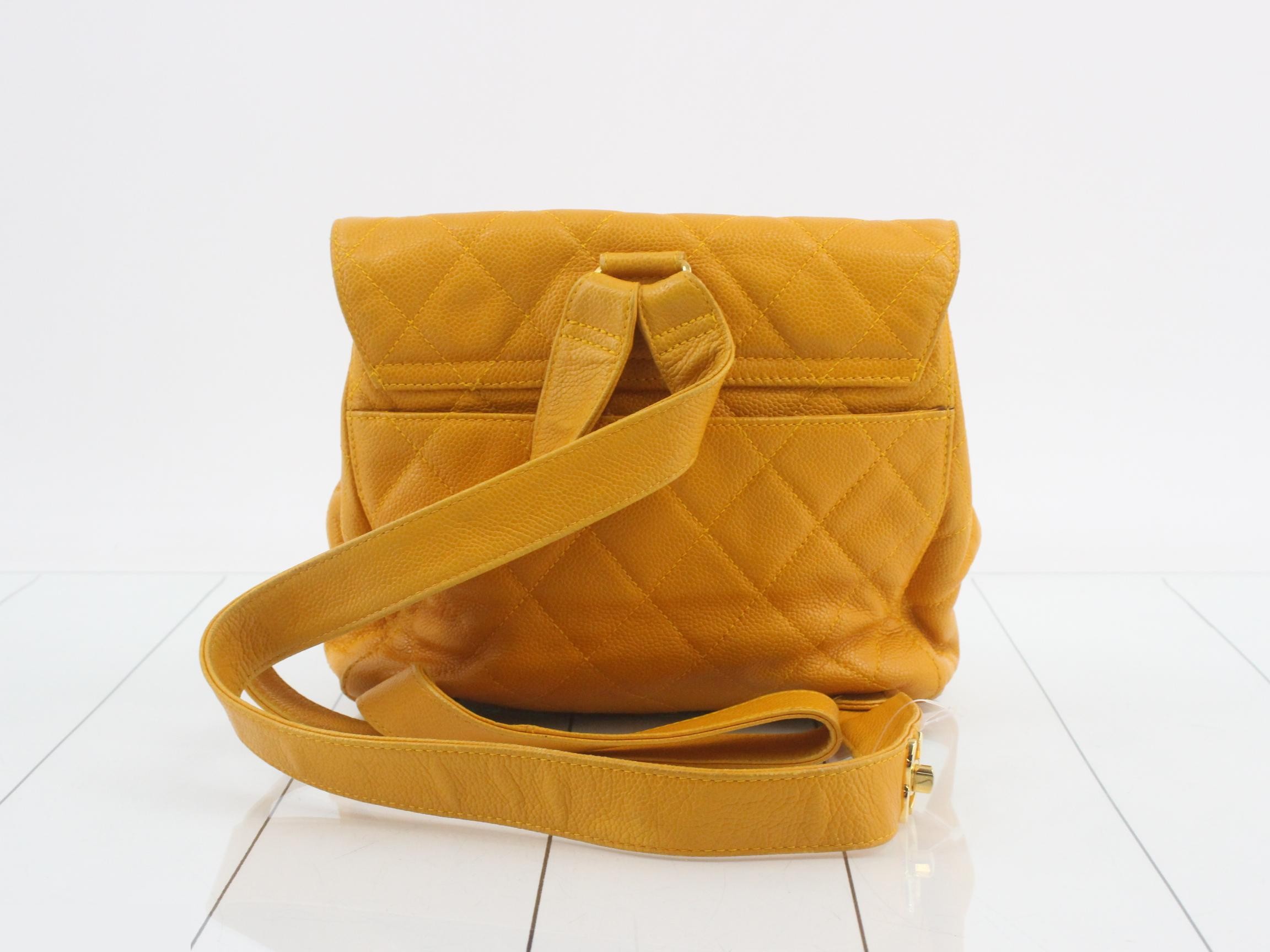 Caviar skin (bag) / Backpack — view 2