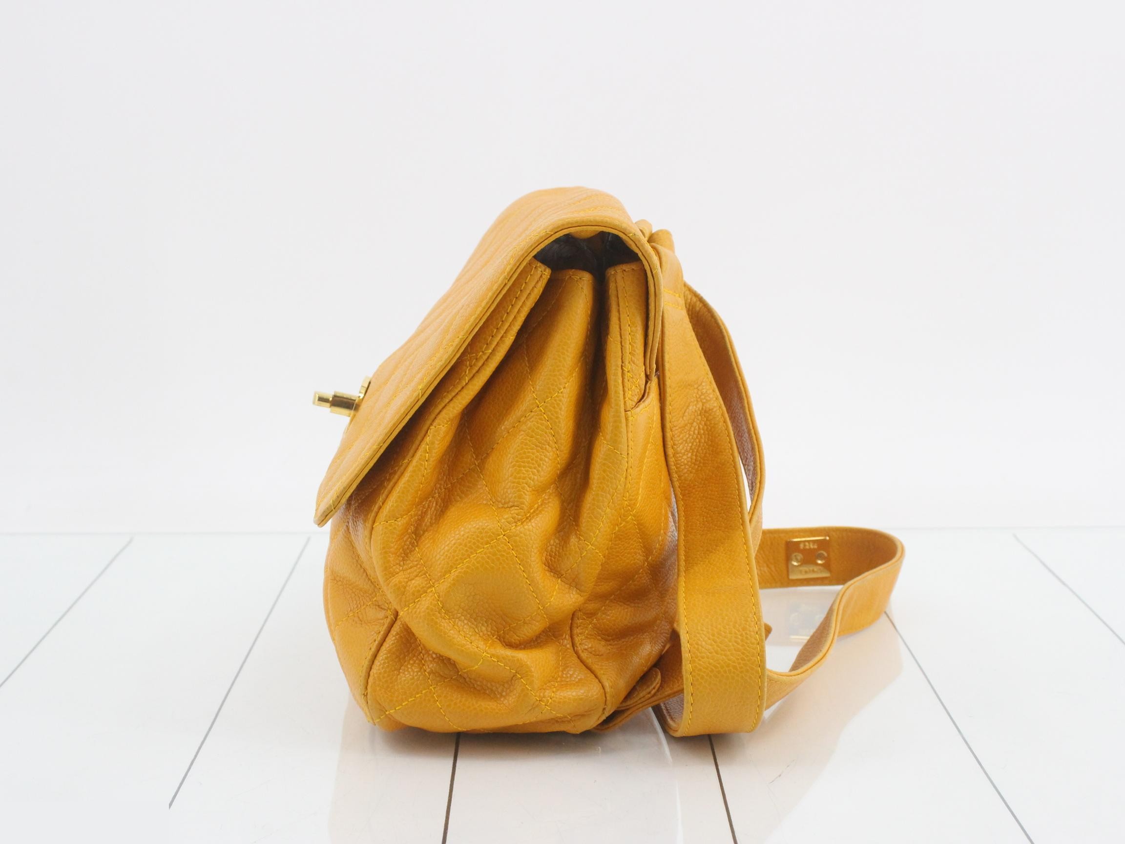 Caviar skin (bag) / Backpack — view 3