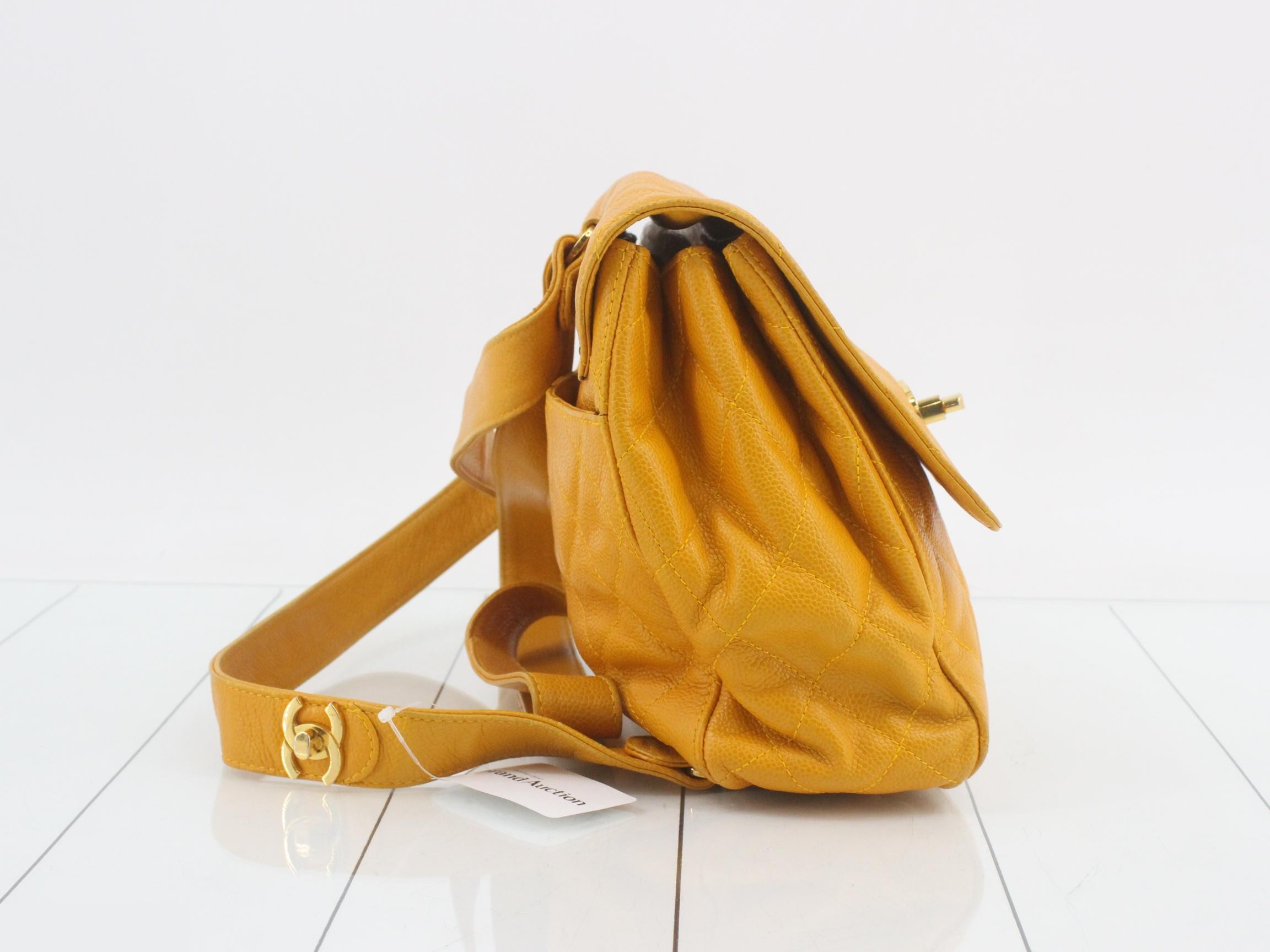 Caviar skin (bag) / Backpack — view 4