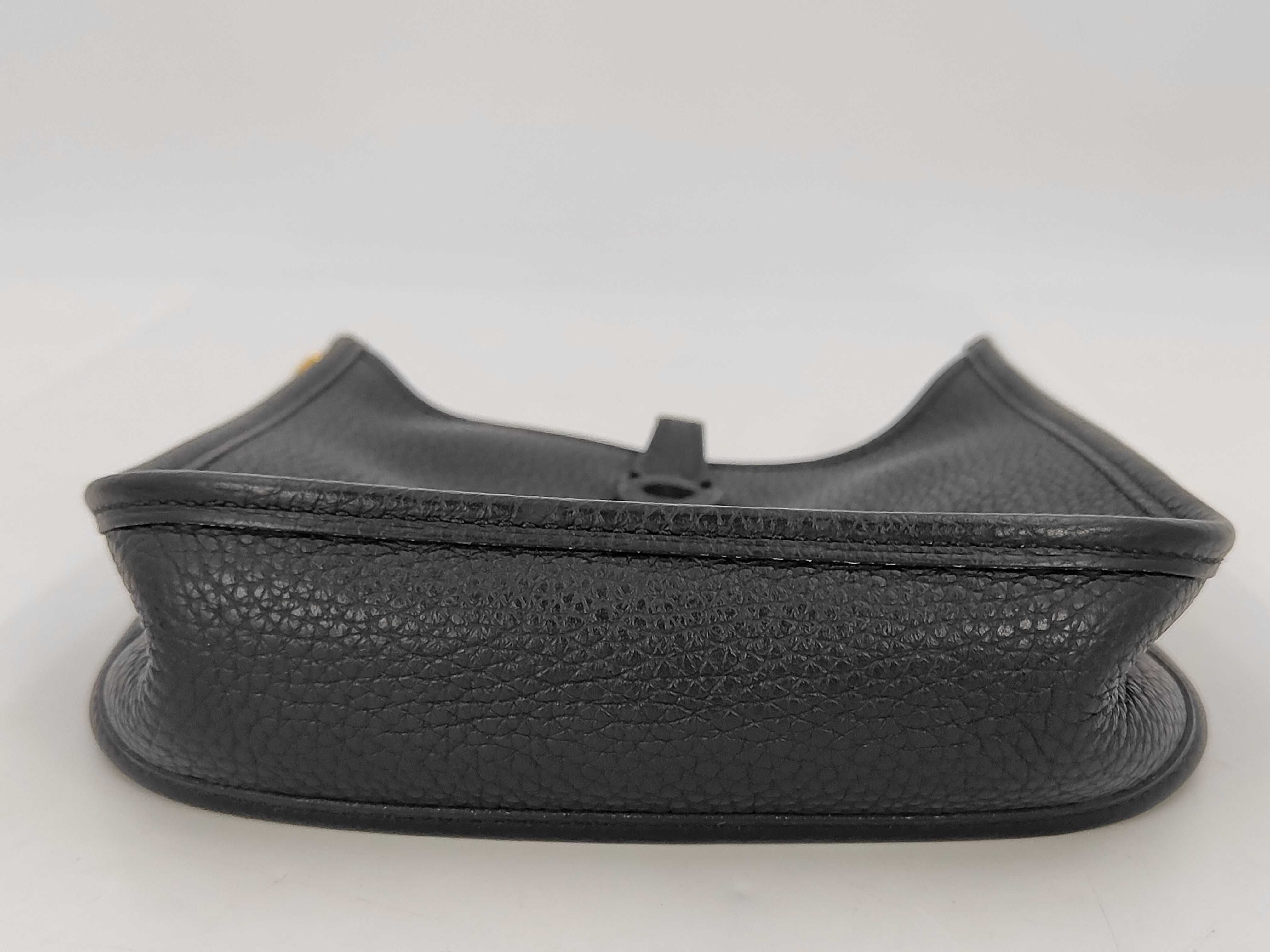 Evelyne 16 TPM Amazon Shoulder Bag — view 4