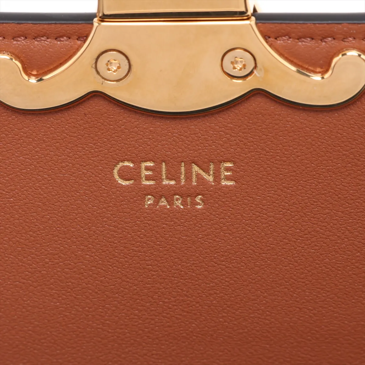 Triomphe Teen Laura PVC x Leather 2-Way Handbag Brown — view 10