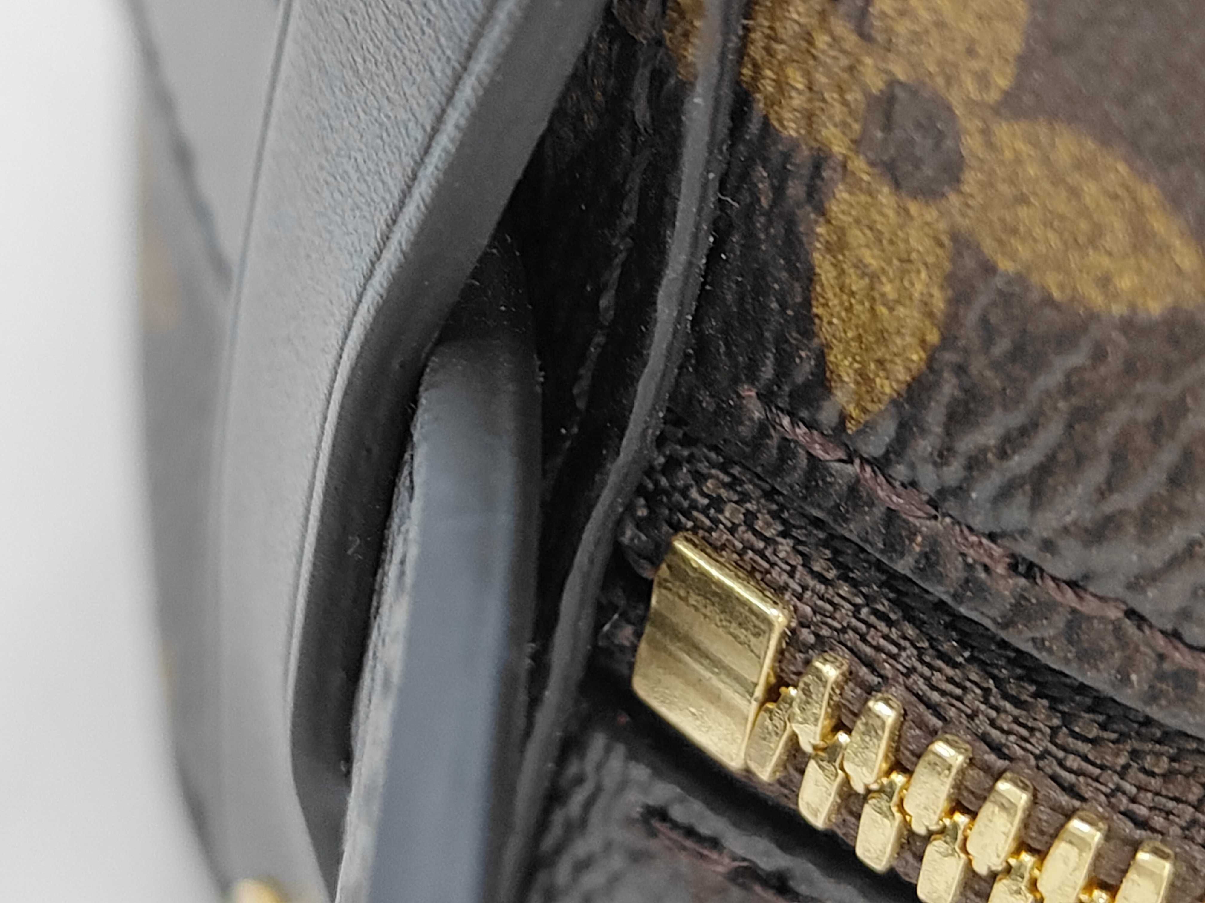 LV Crossbody Bag — view 6