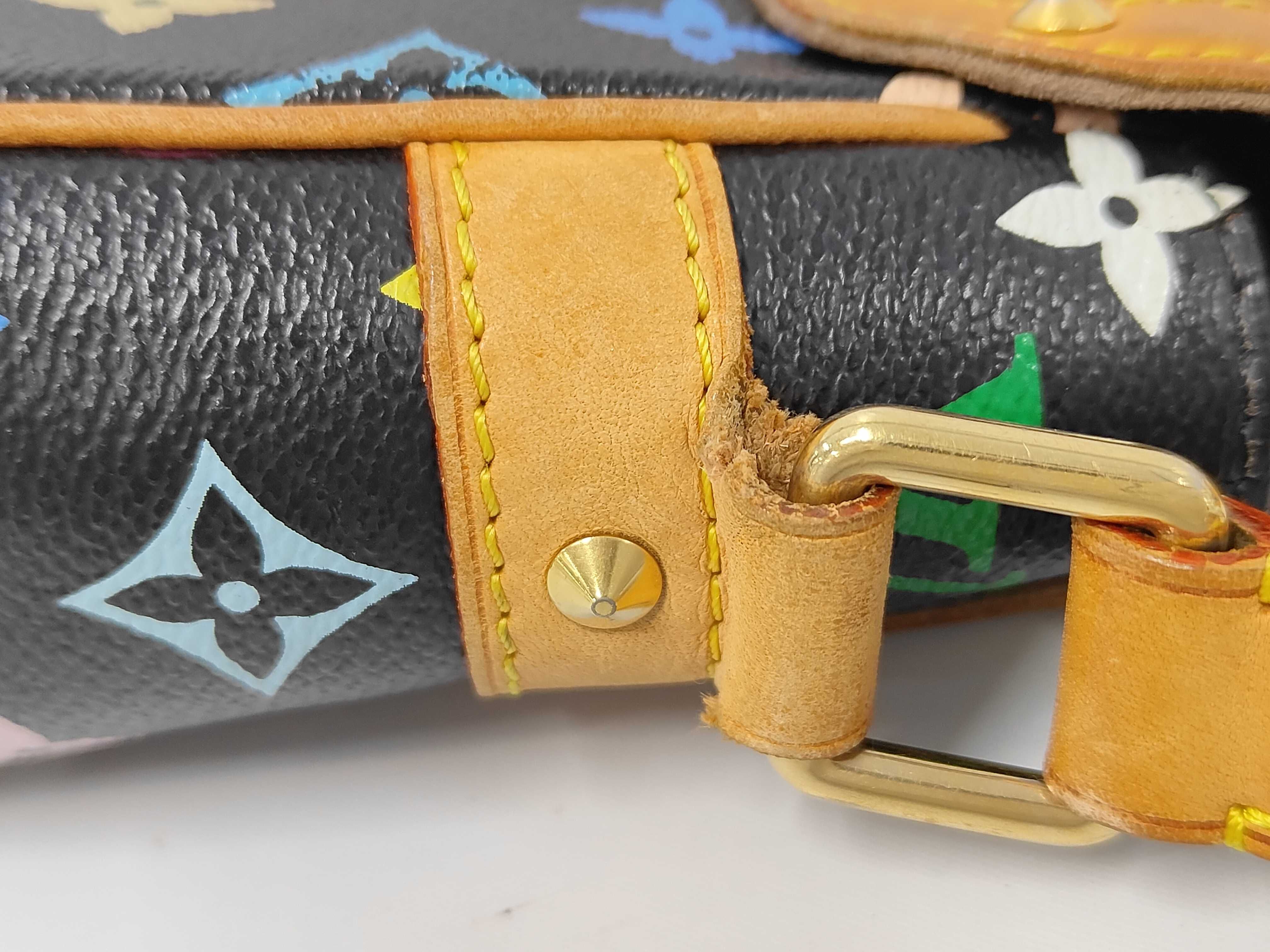 Monogram Multicolor Sologne Shoulder Bag — view 6