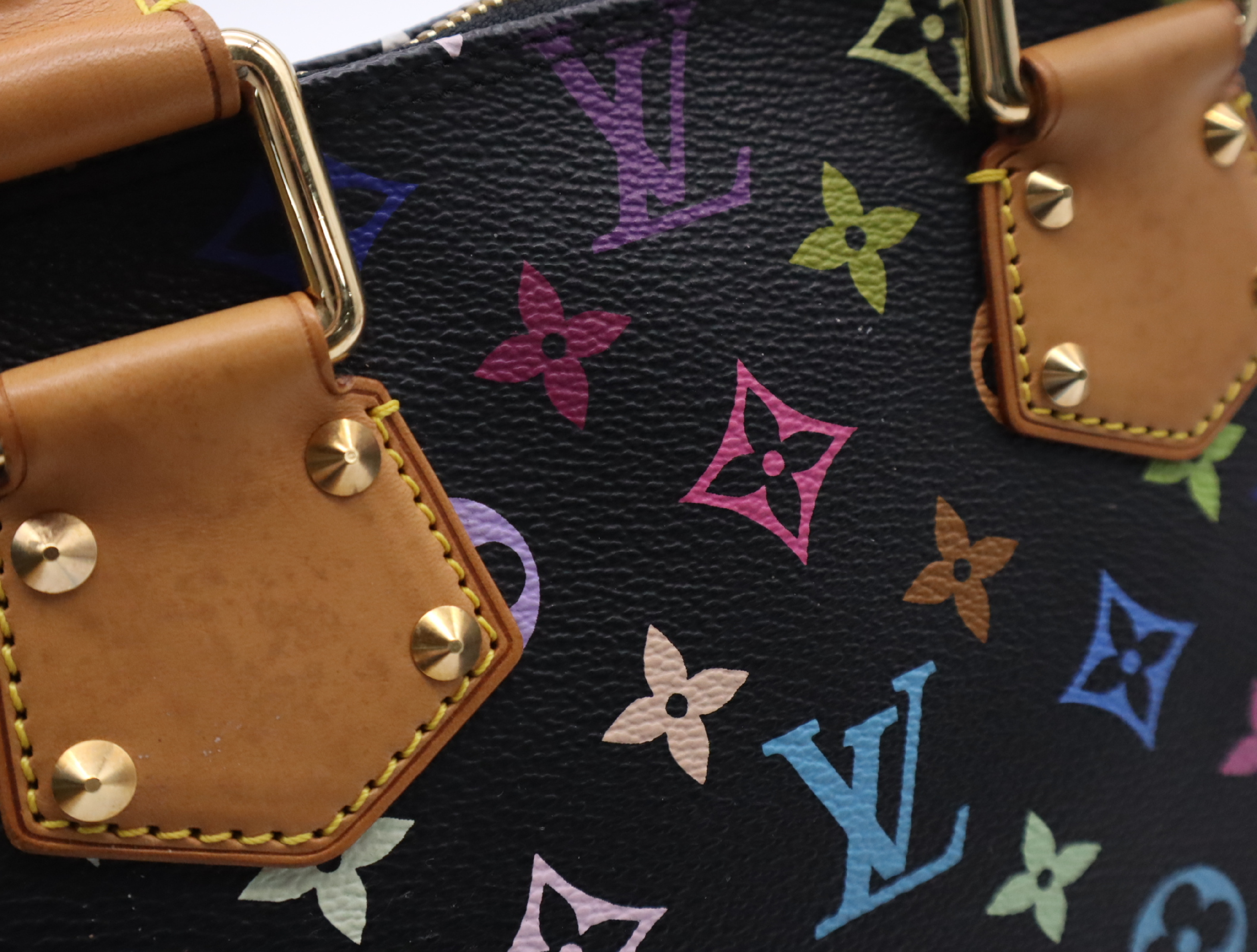 M92646 Multicolor Alma Noir Handbag with Dust Bag — view 13