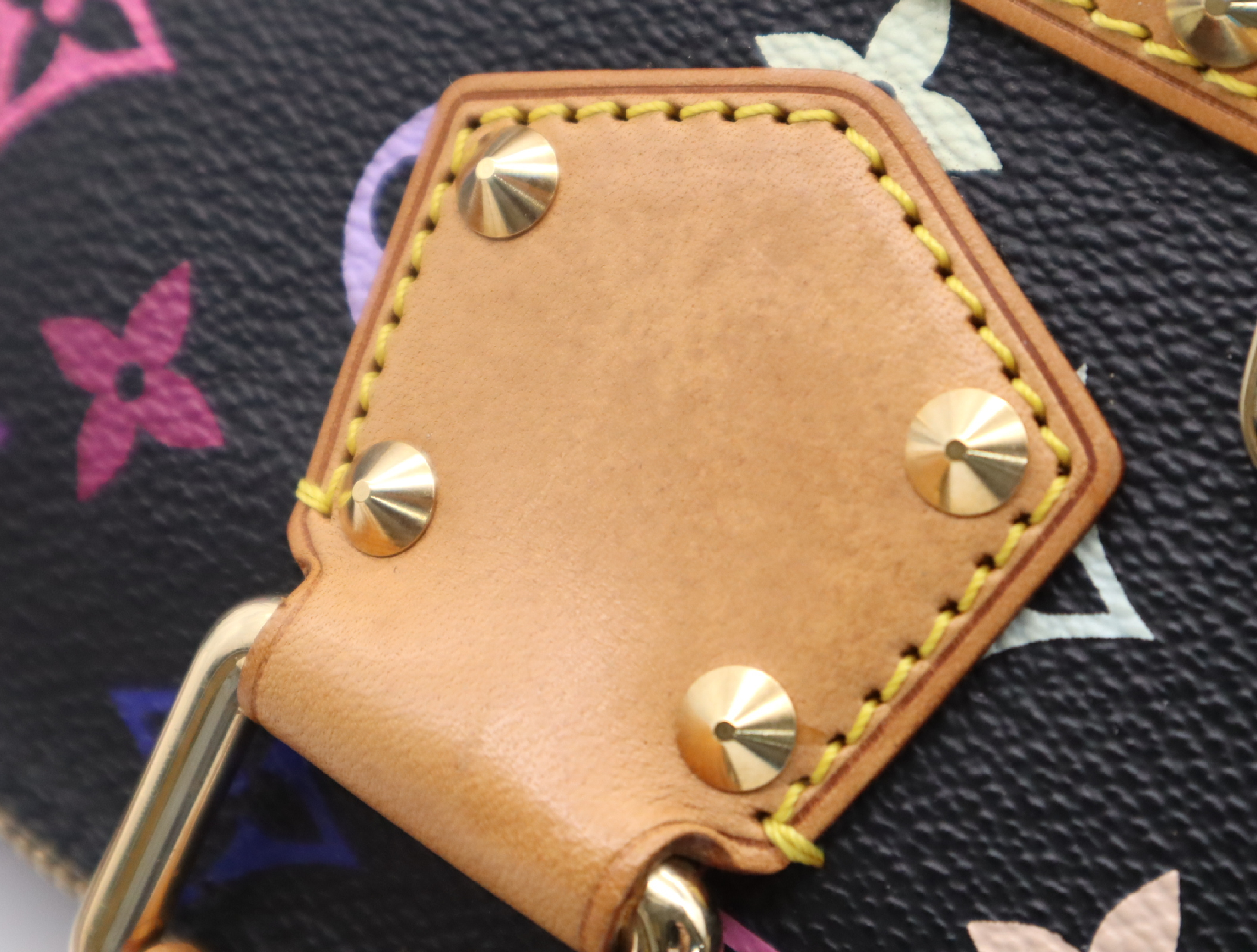 M92646 Multicolor Alma Noir Handbag with Dust Bag — view 10