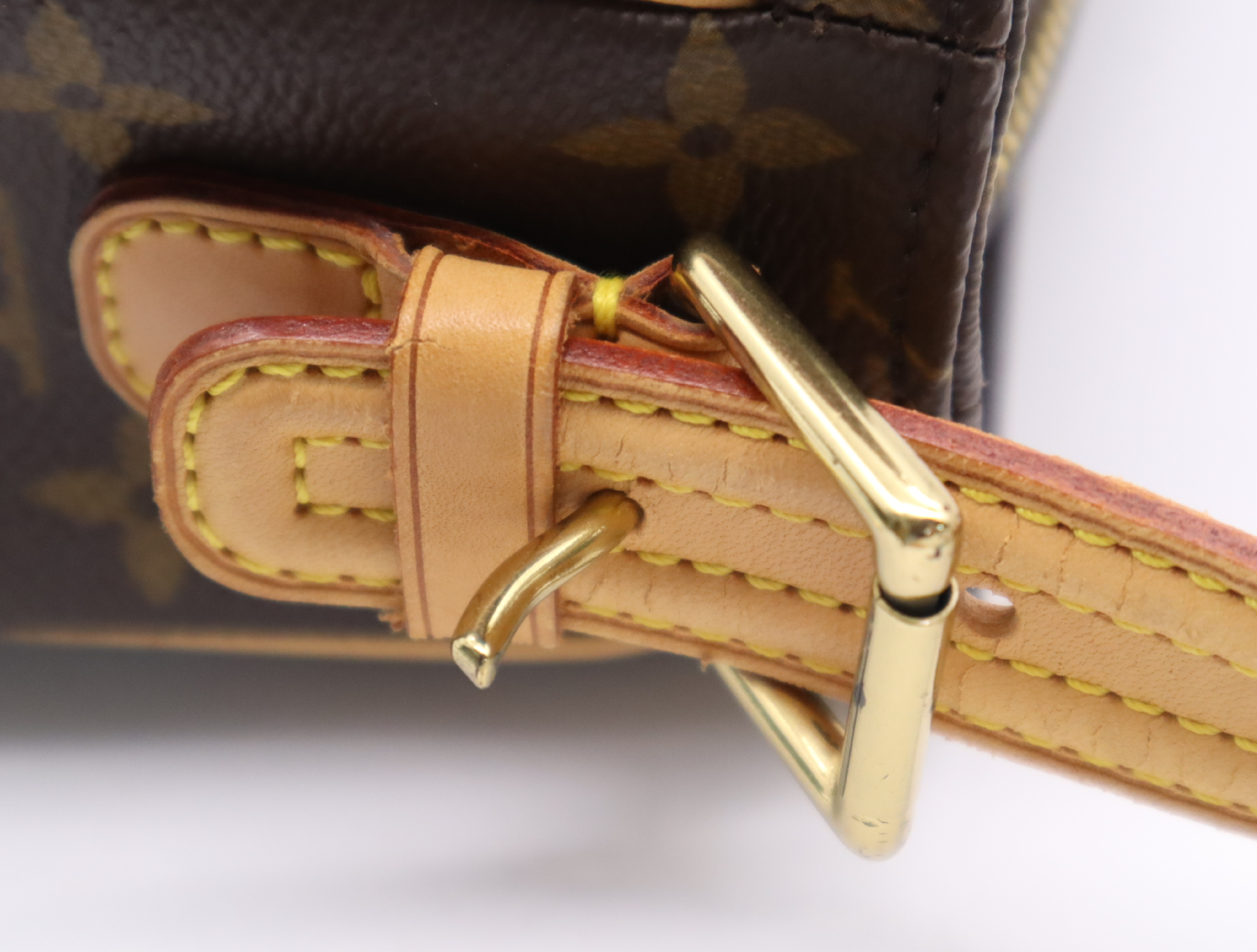 M51164 Monogram Viva Cite MM Handbag — view 8