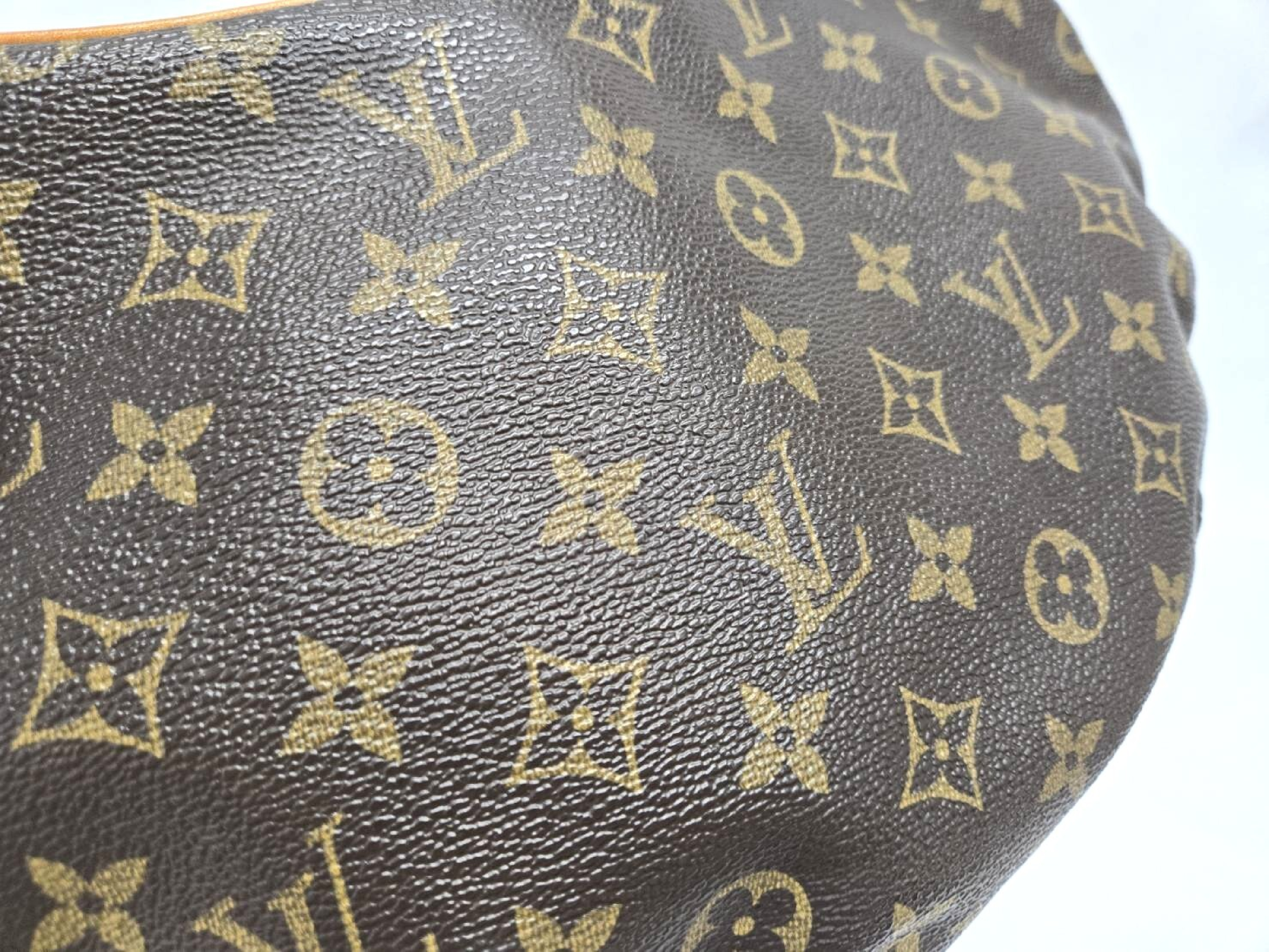 Monogram Croissant PM M51510 Shoulder Bag — view 6