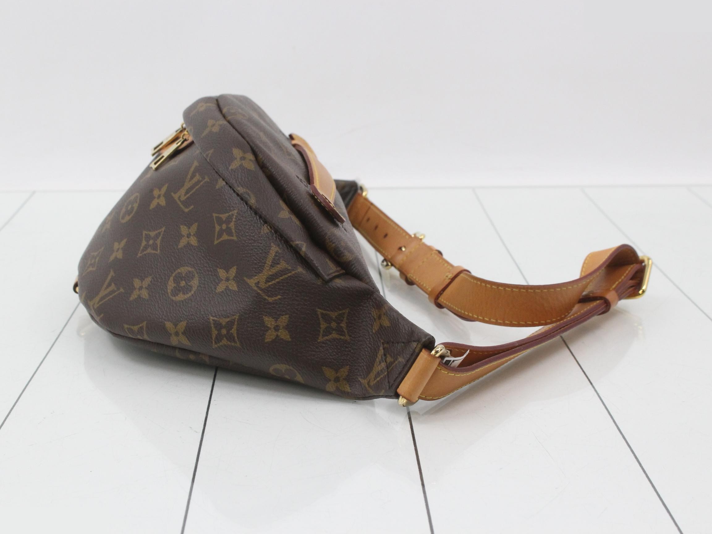 Monogram Bum Bag Waist Bag — view 3