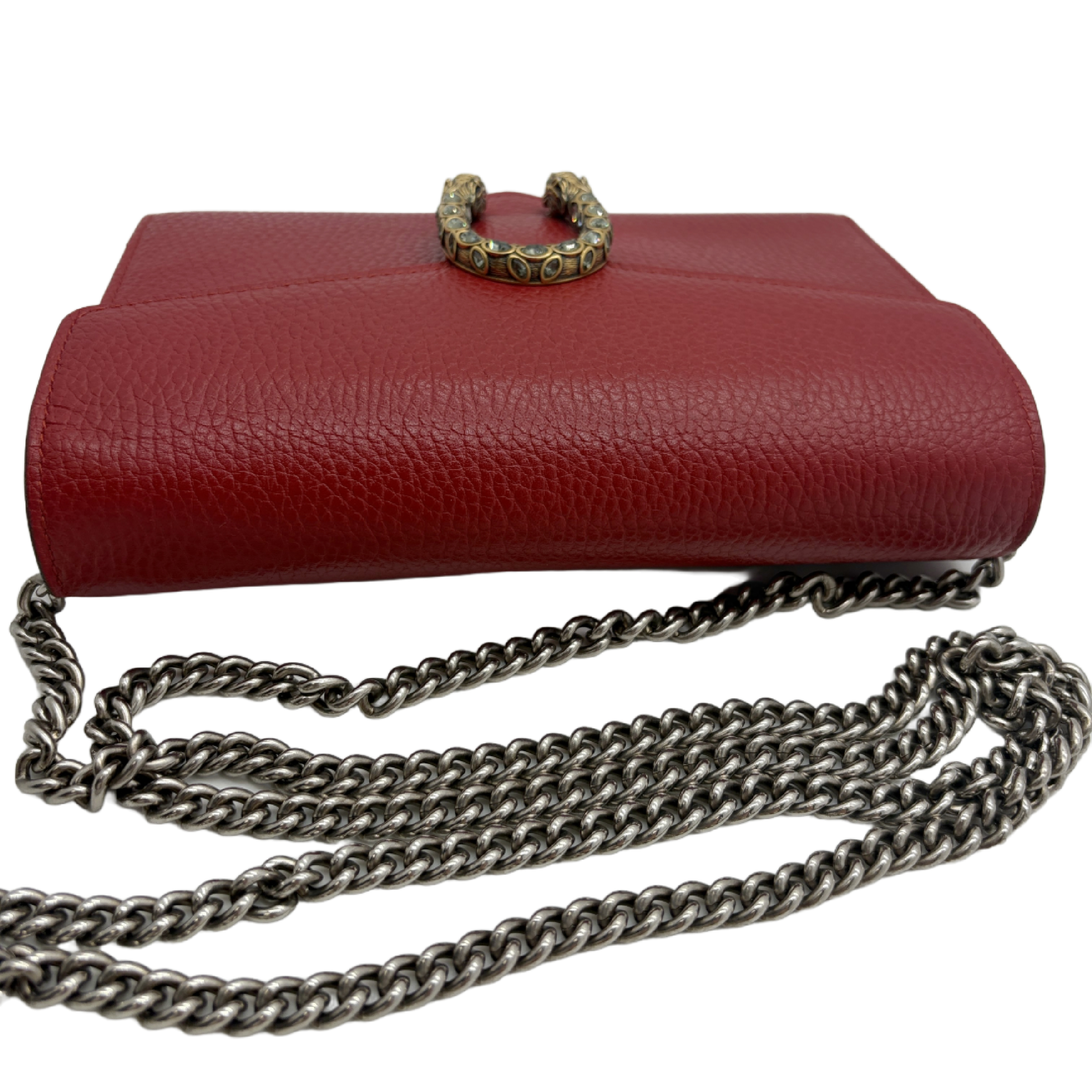 Dionysus Chain Shoulder Bag (Shoulder Bag) — view 8