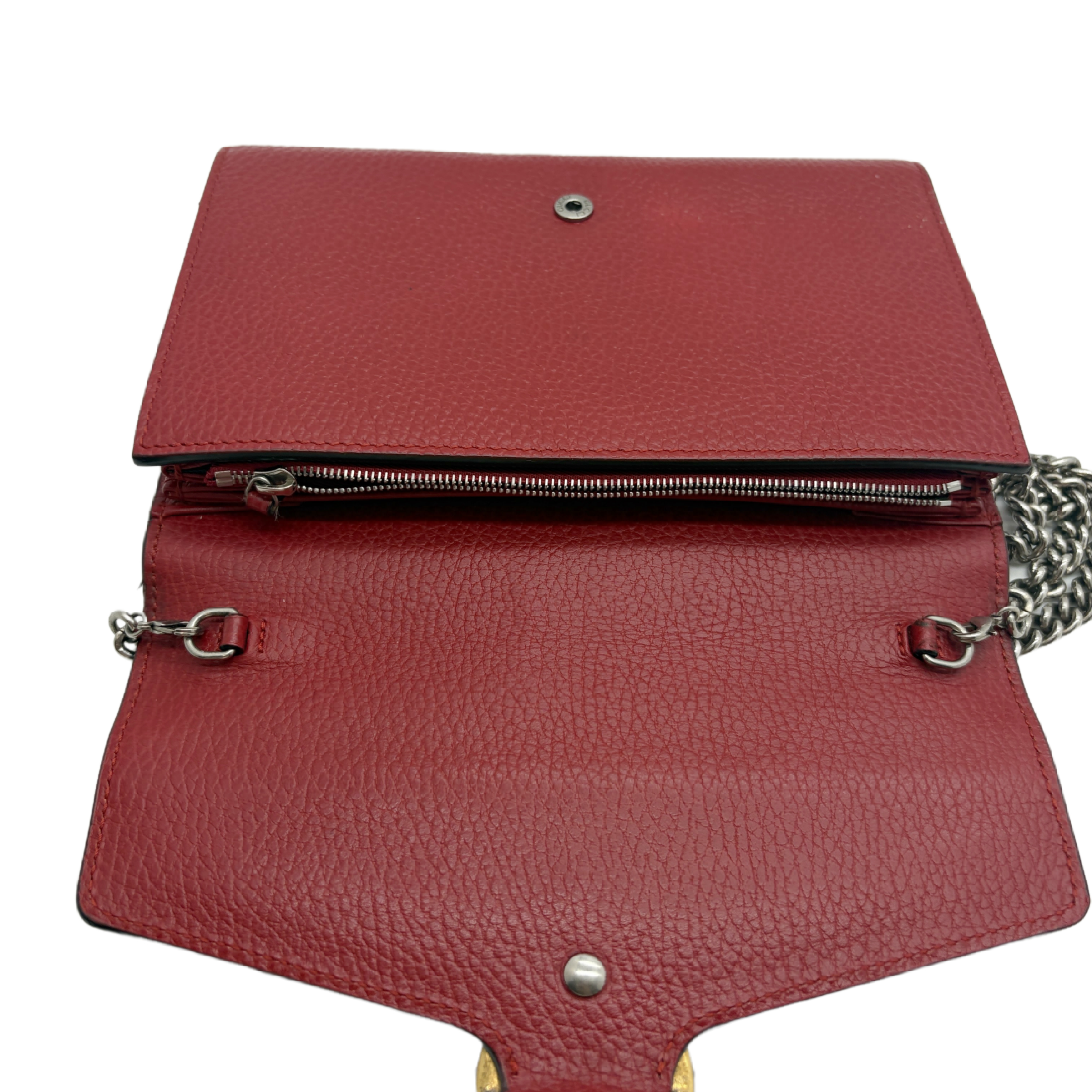Dionysus Chain Shoulder Bag (Shoulder Bag) — view 9