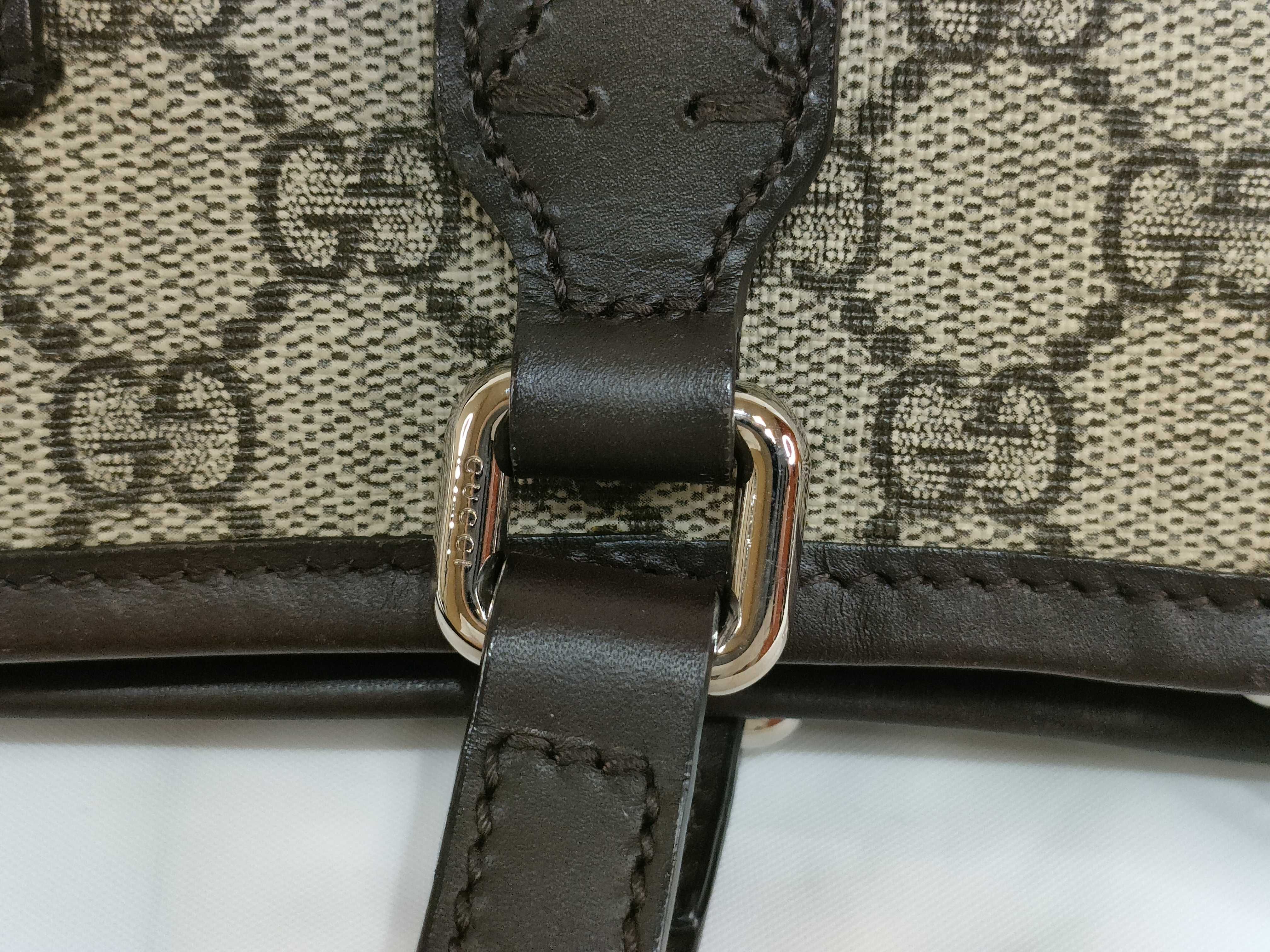 GG Supreme Canvas Eden Small Tote Bag Shoulder Bag — view 5