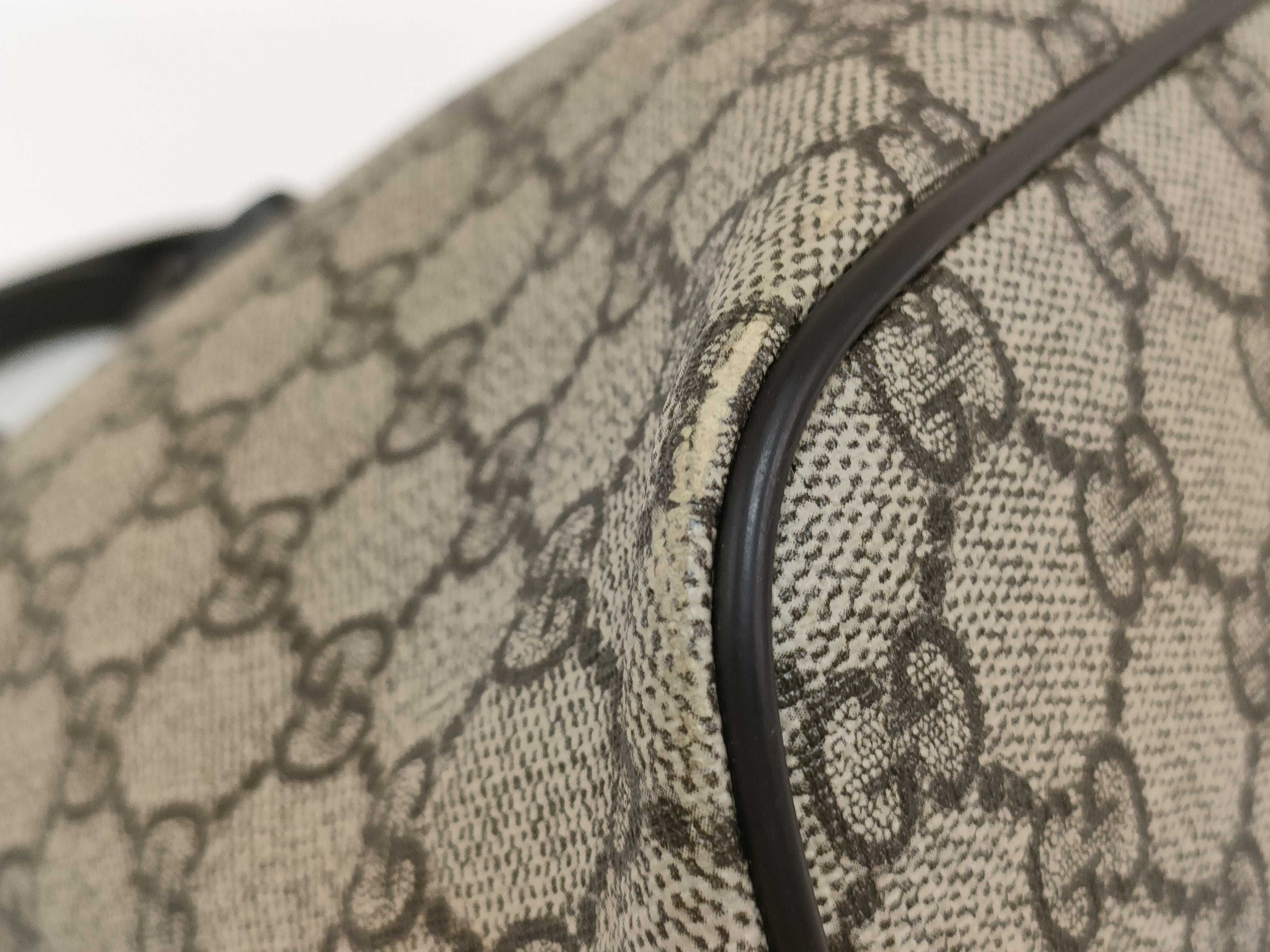 GG Supreme Canvas Eden Small Tote Bag Shoulder Bag — view 7