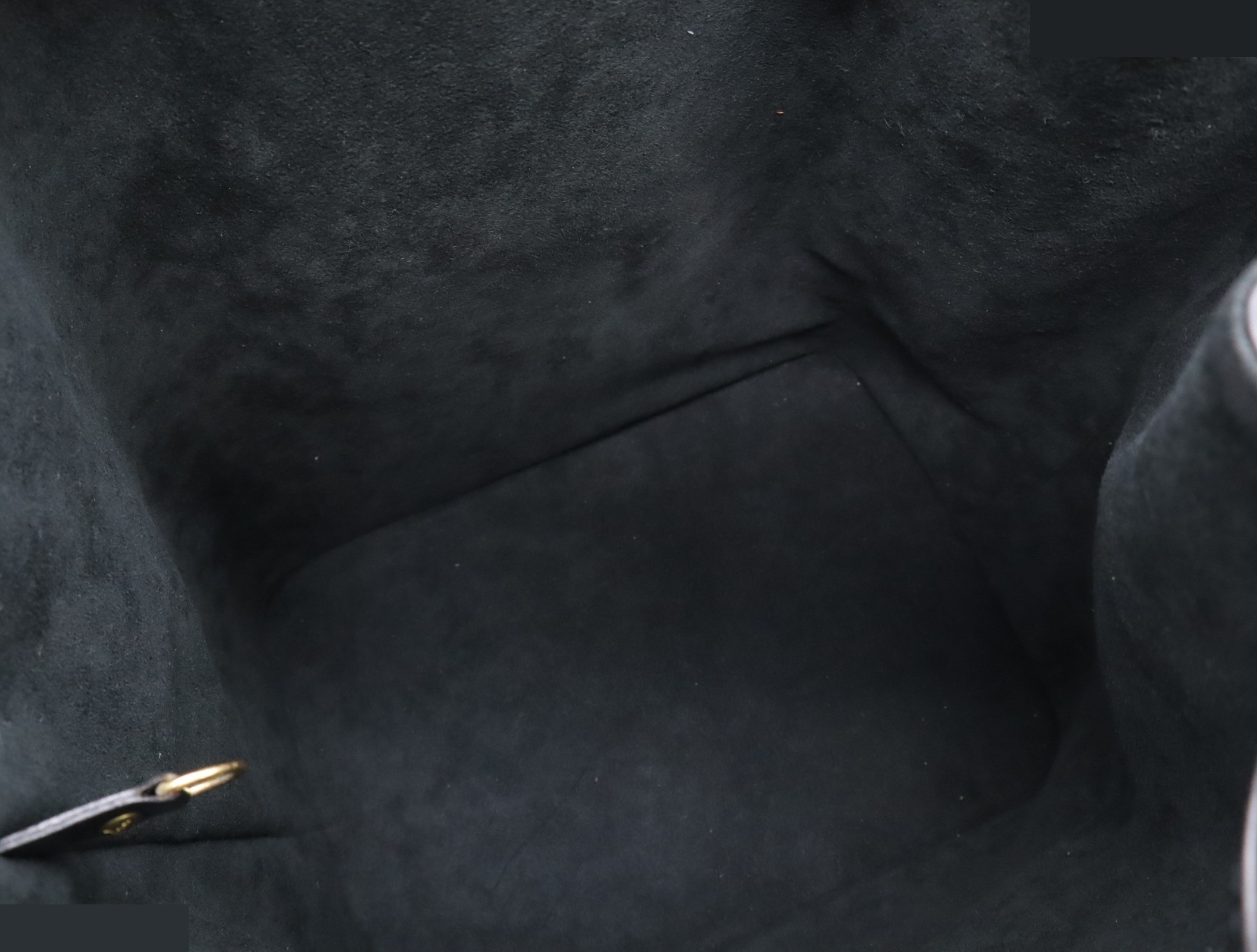 Petit Noé Noir — view 7