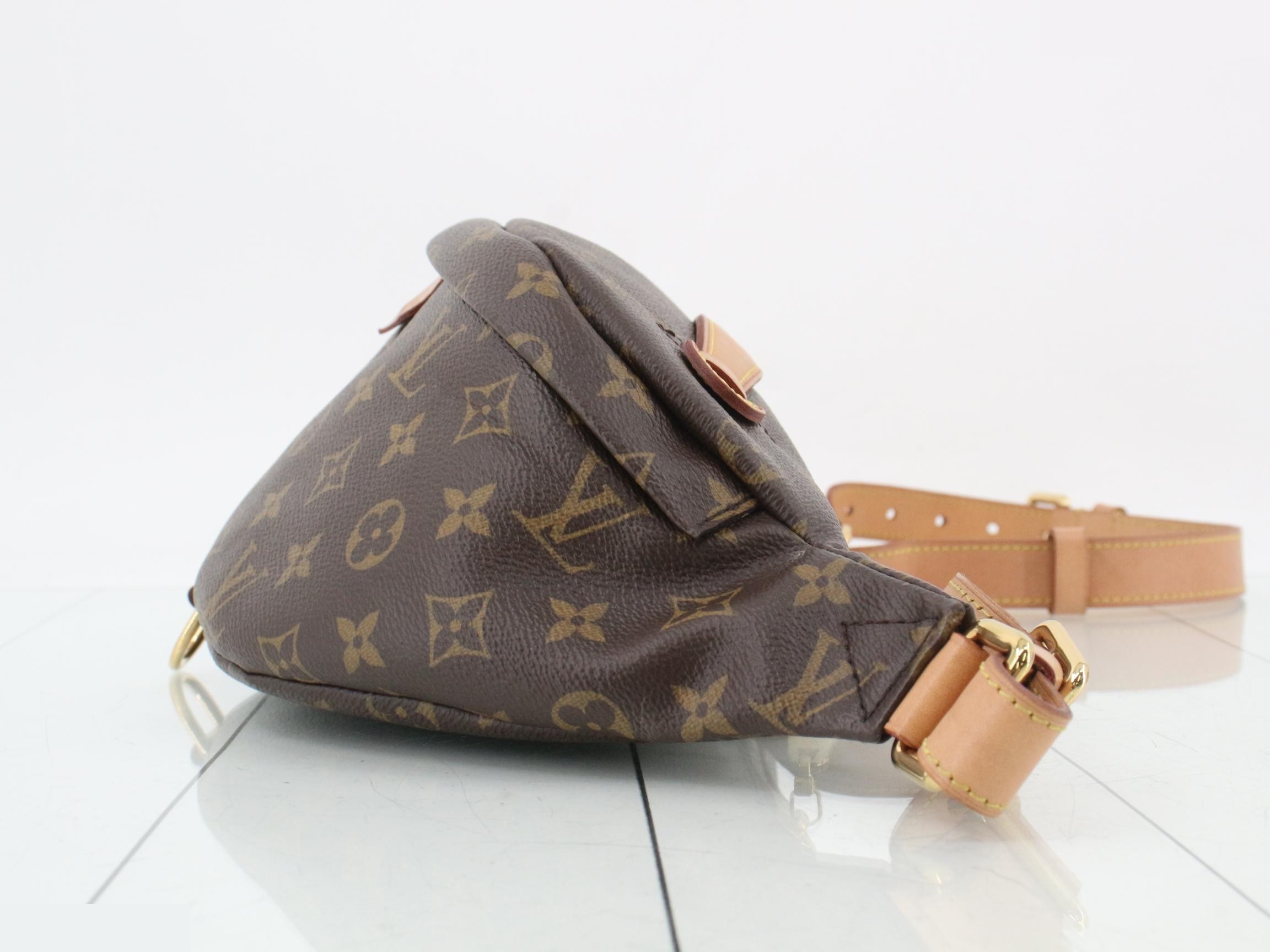 Monogram Bum Bag Waist Bag — view 3