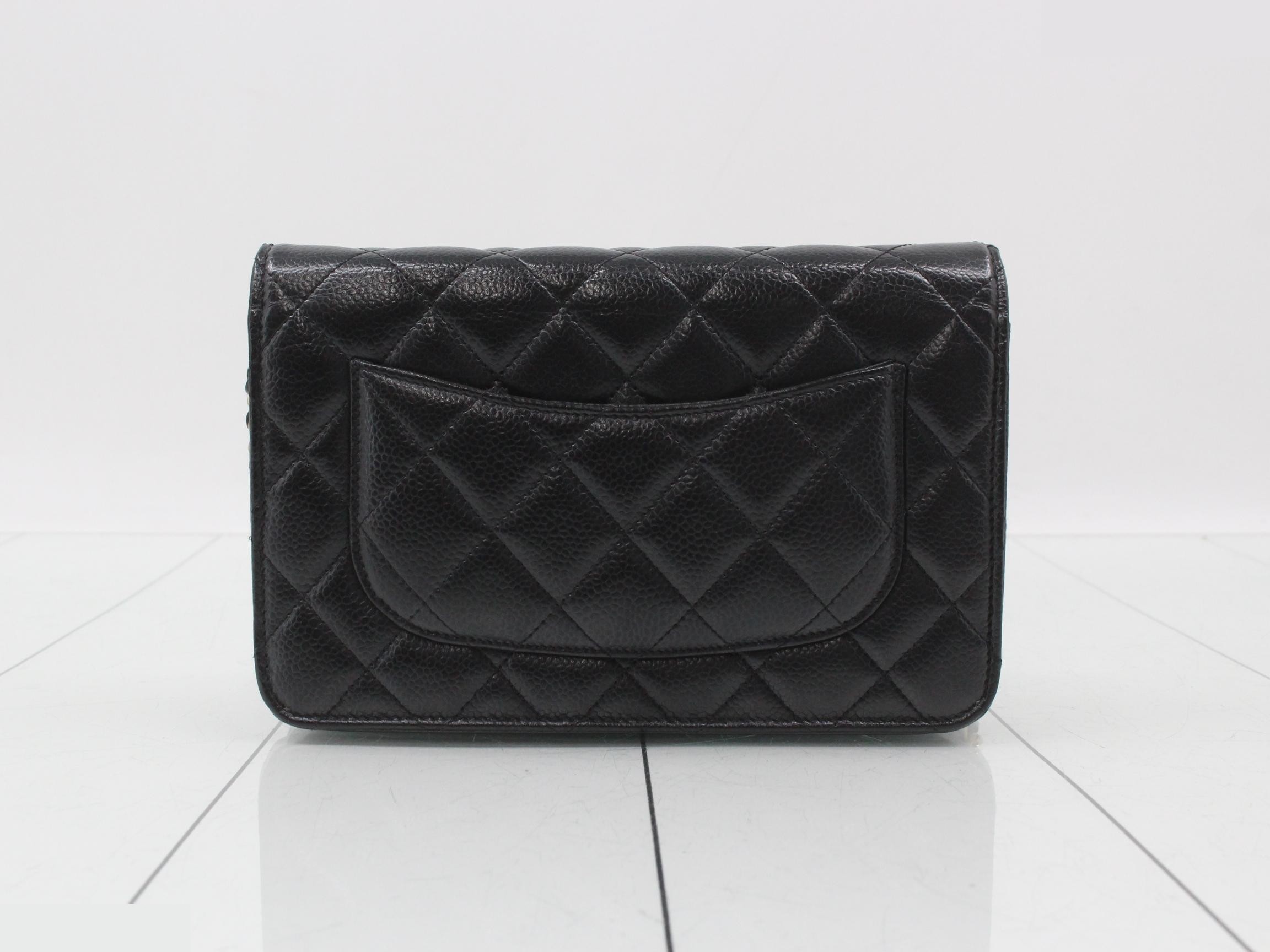 Chain wallet — view 2