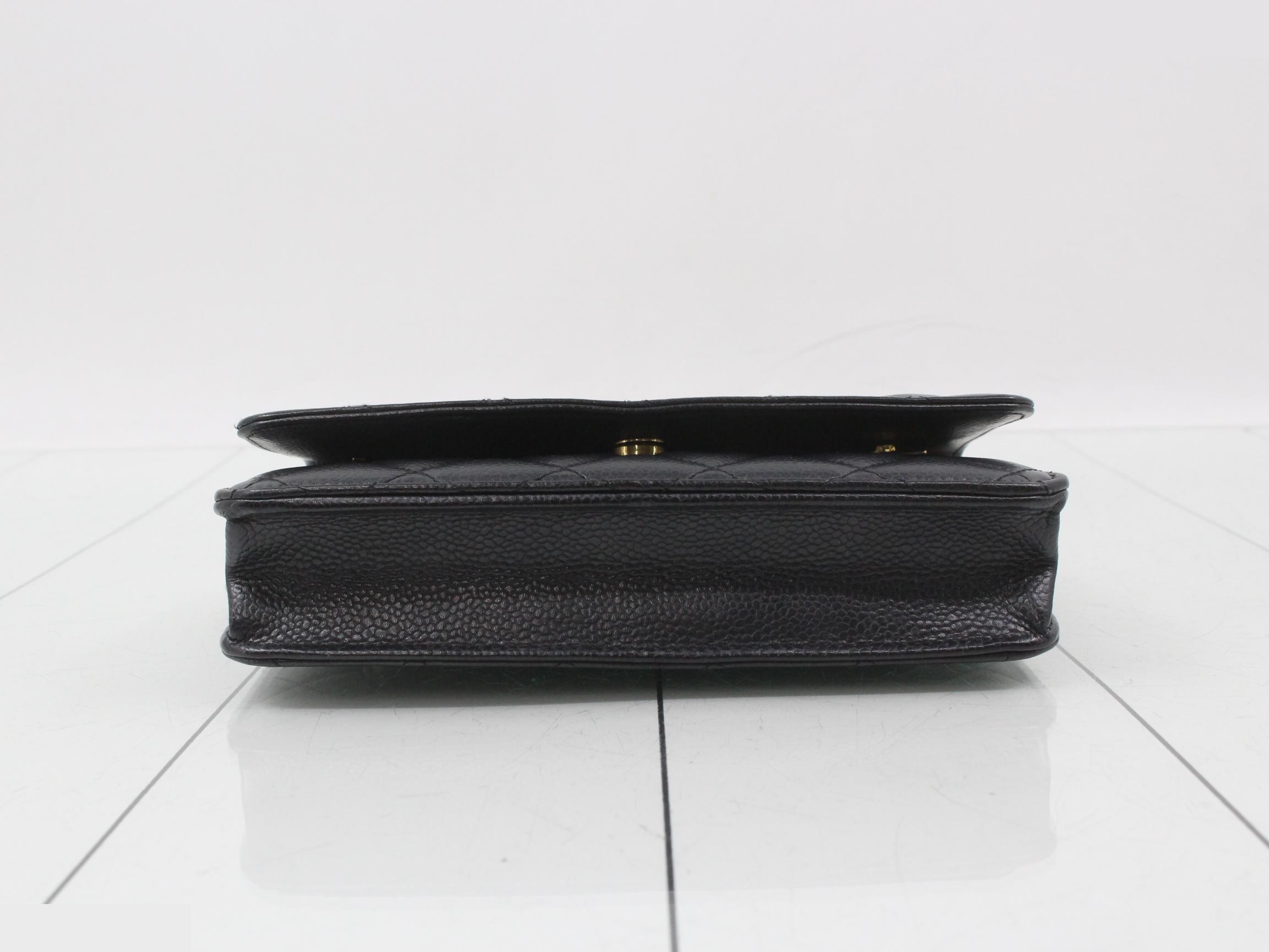 Chain wallet — view 3