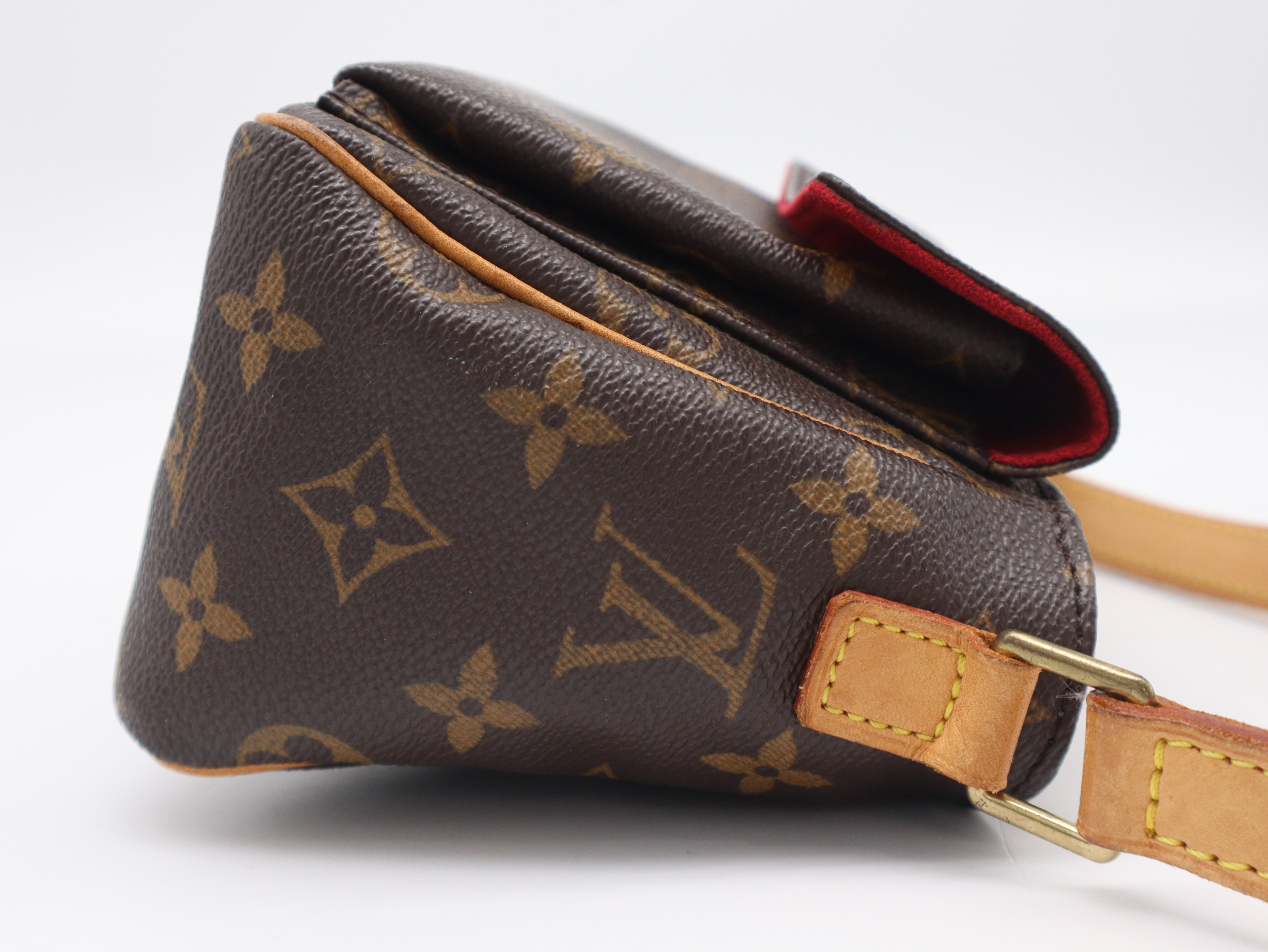 M51165 Monogram Viva Cite PM Shoulder Bag — view 4