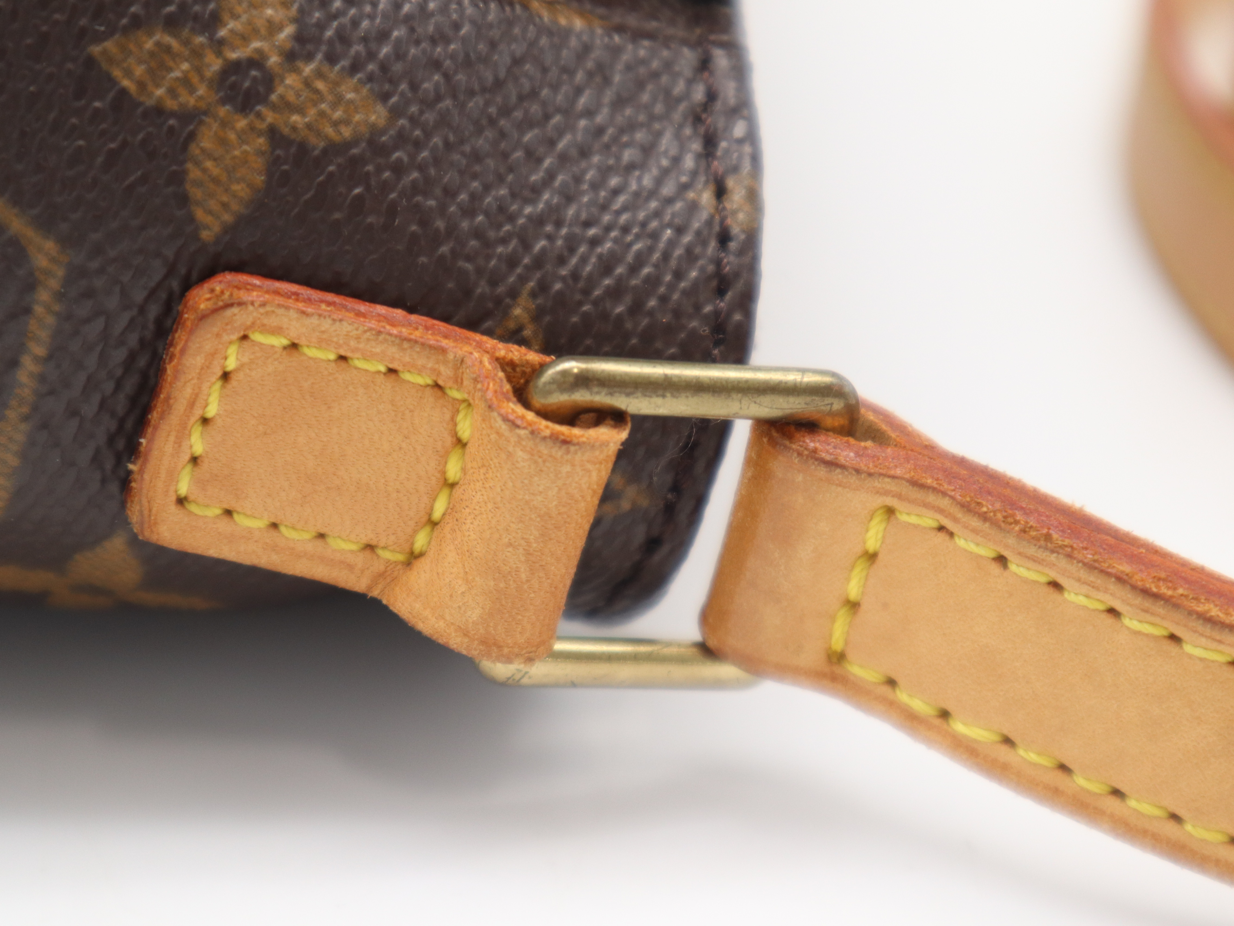 M51165 Monogram Viva Cite PM Shoulder Bag — view 7
