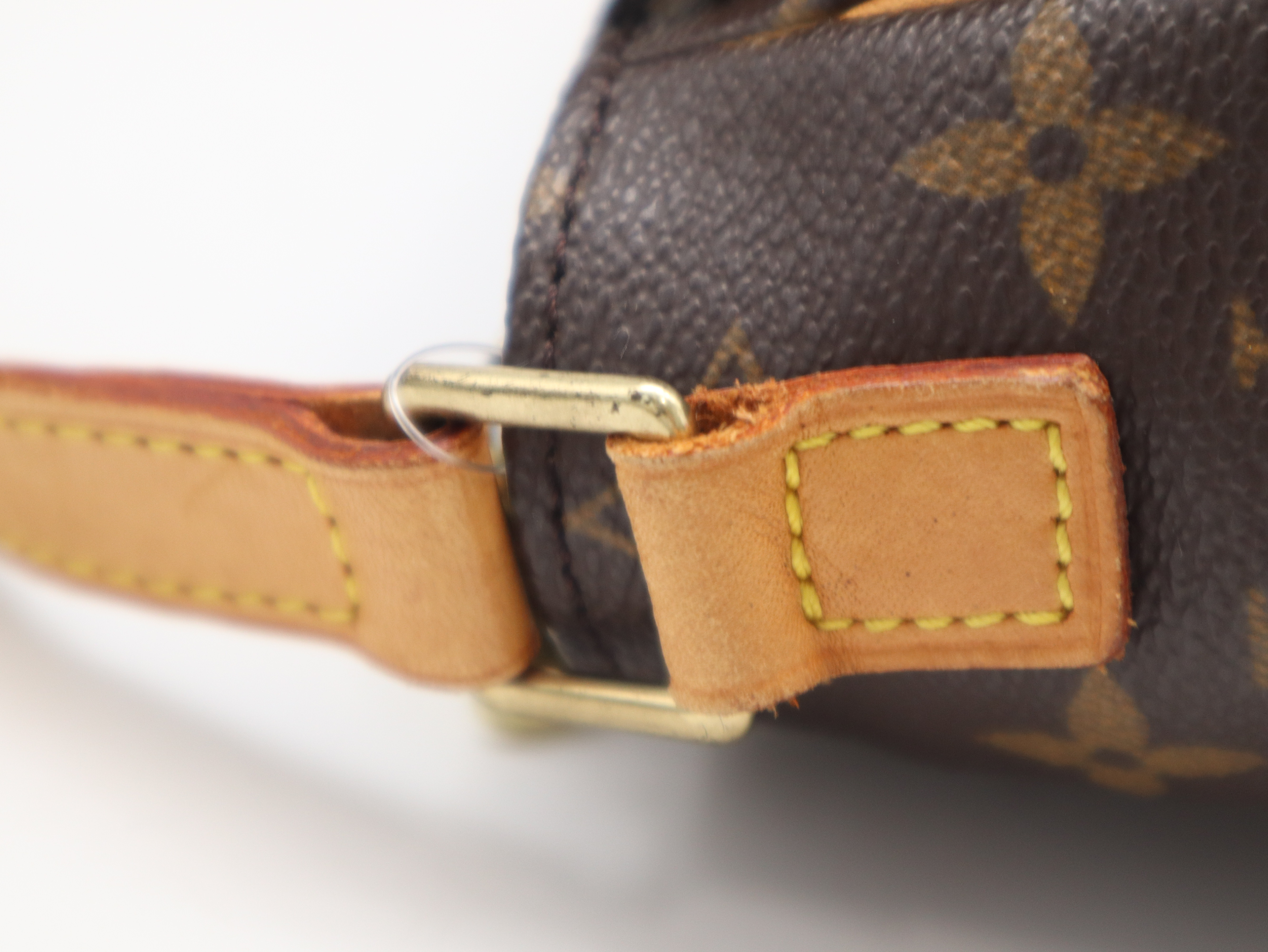 M51165 Monogram Viva Cite PM Shoulder Bag — view 8