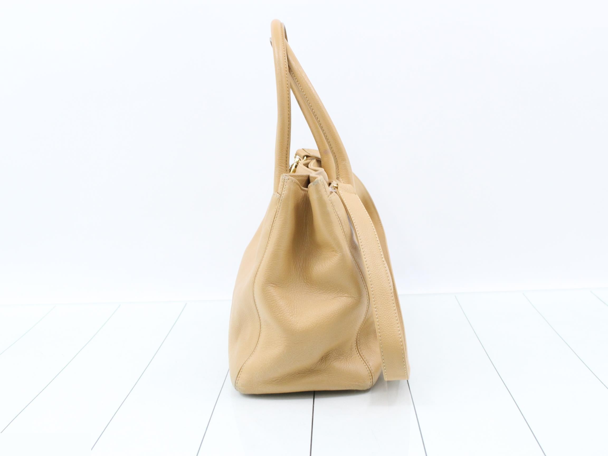 Caviar Skin Executive Tote Bag, Series 9 — view 4